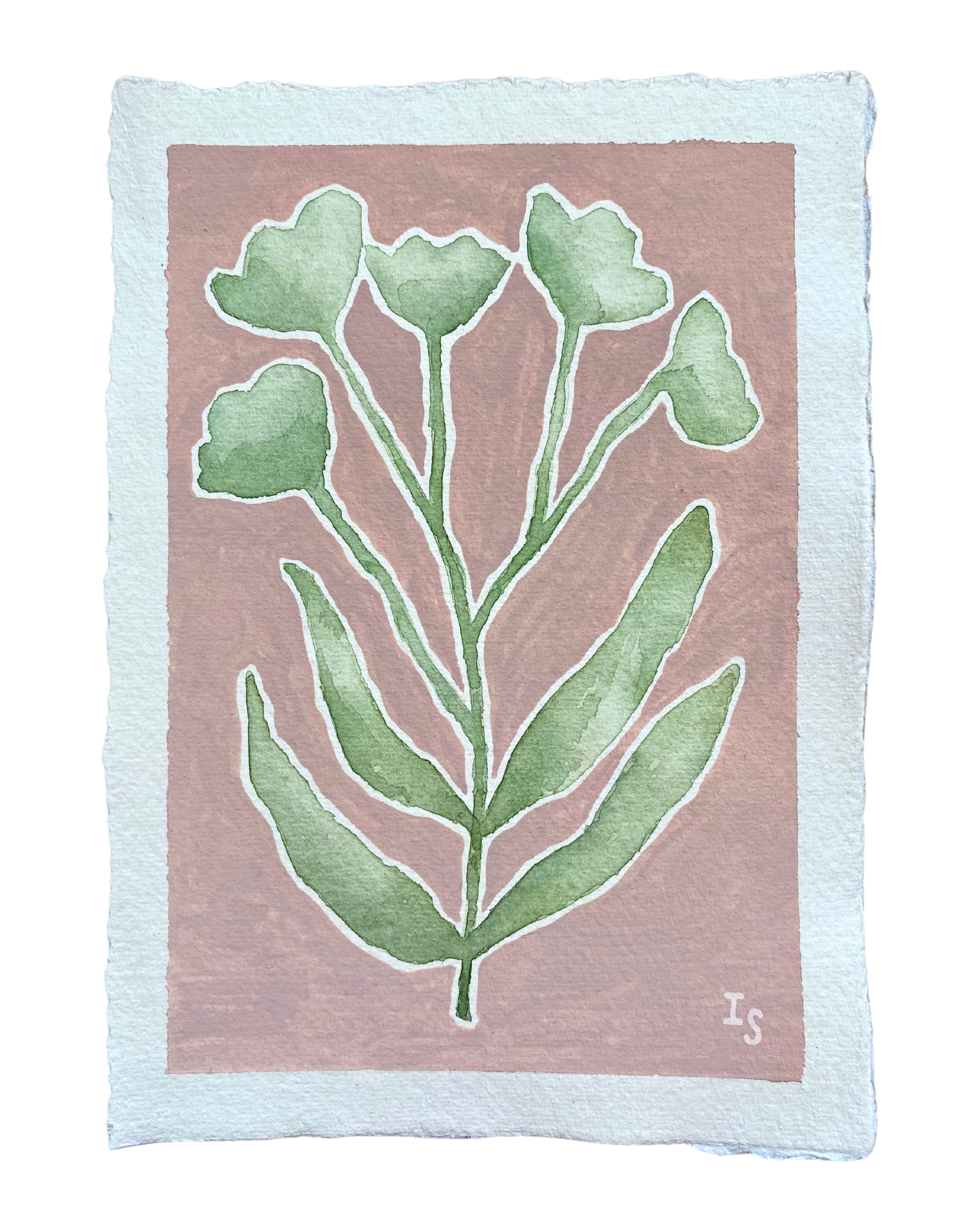 Bloom 2.png