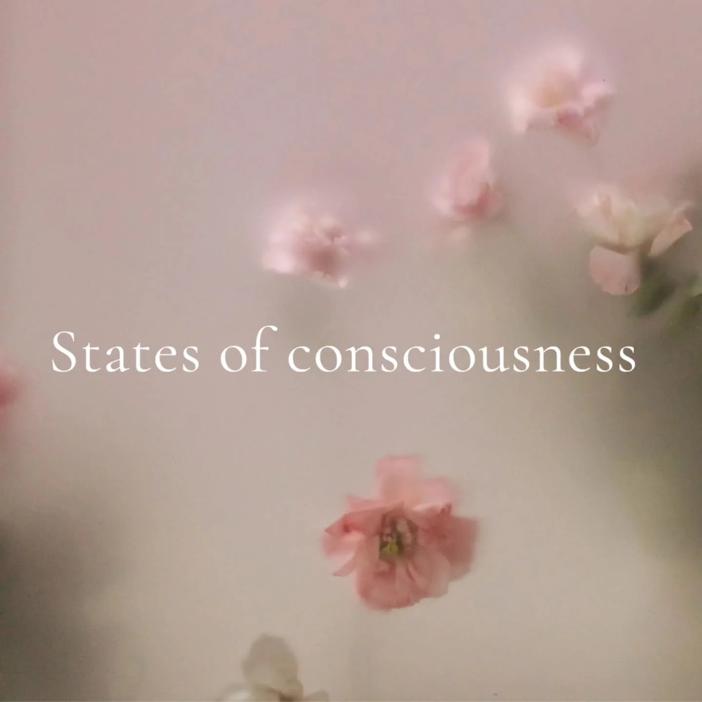 States of consciousness
Levels towards enlightenment

Autopilot 
Self-awareness 
Transcendence