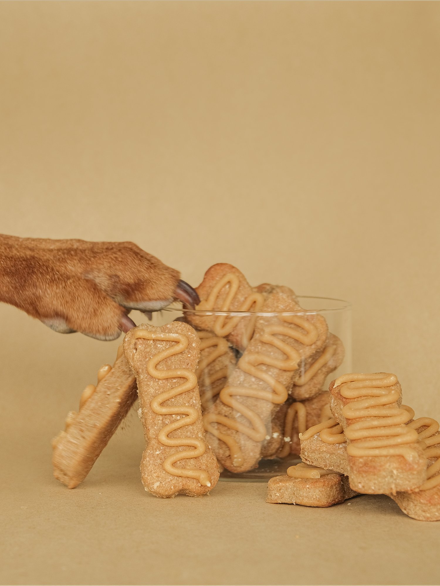 Large Dog Cookies - 8 Pack