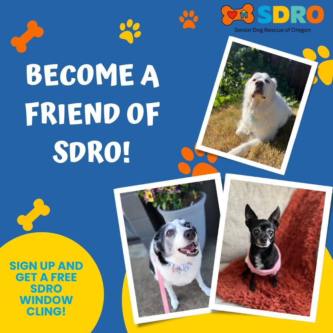 🐾Let&rsquo;s celebrate silver whiskers and golden hearts! 💛

Become a Friend of SDRO today! 🐕 Did you know that older dogs are like fine wine? 🍷They just get better with age! According to ASPCA, senior pups are just as deserving of love and forev