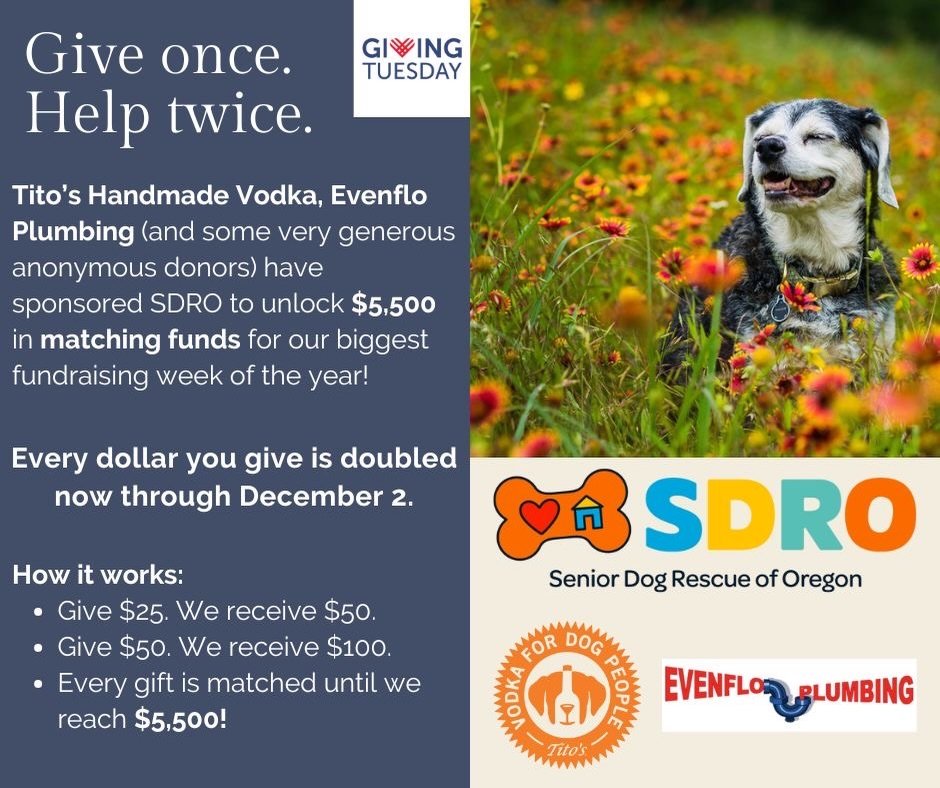 Your gift makes double the impact for senior dogs this Giving Tuesday 🐾💛

We have great news! Tito&rsquo;s Handmade Vodka, Evenflo Plumbing (and some very generous anonymous donors) have sponsored SDRO to unlock $5,500 in matching funds for our big