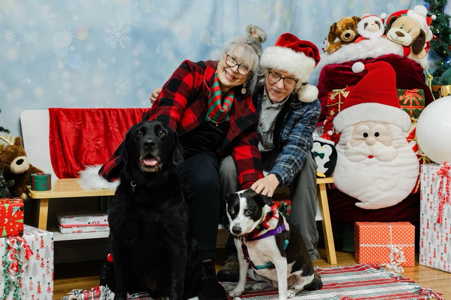 Happy New Year!✨ From SDRO dog, Bronson (black lab), and all of us at SDRO. ❤️ We are incredibly grateful for the support of our volunteers, foster homes, donors, post/story sharers, and truly anyone that just loves old dogs and speaks up for them! ?