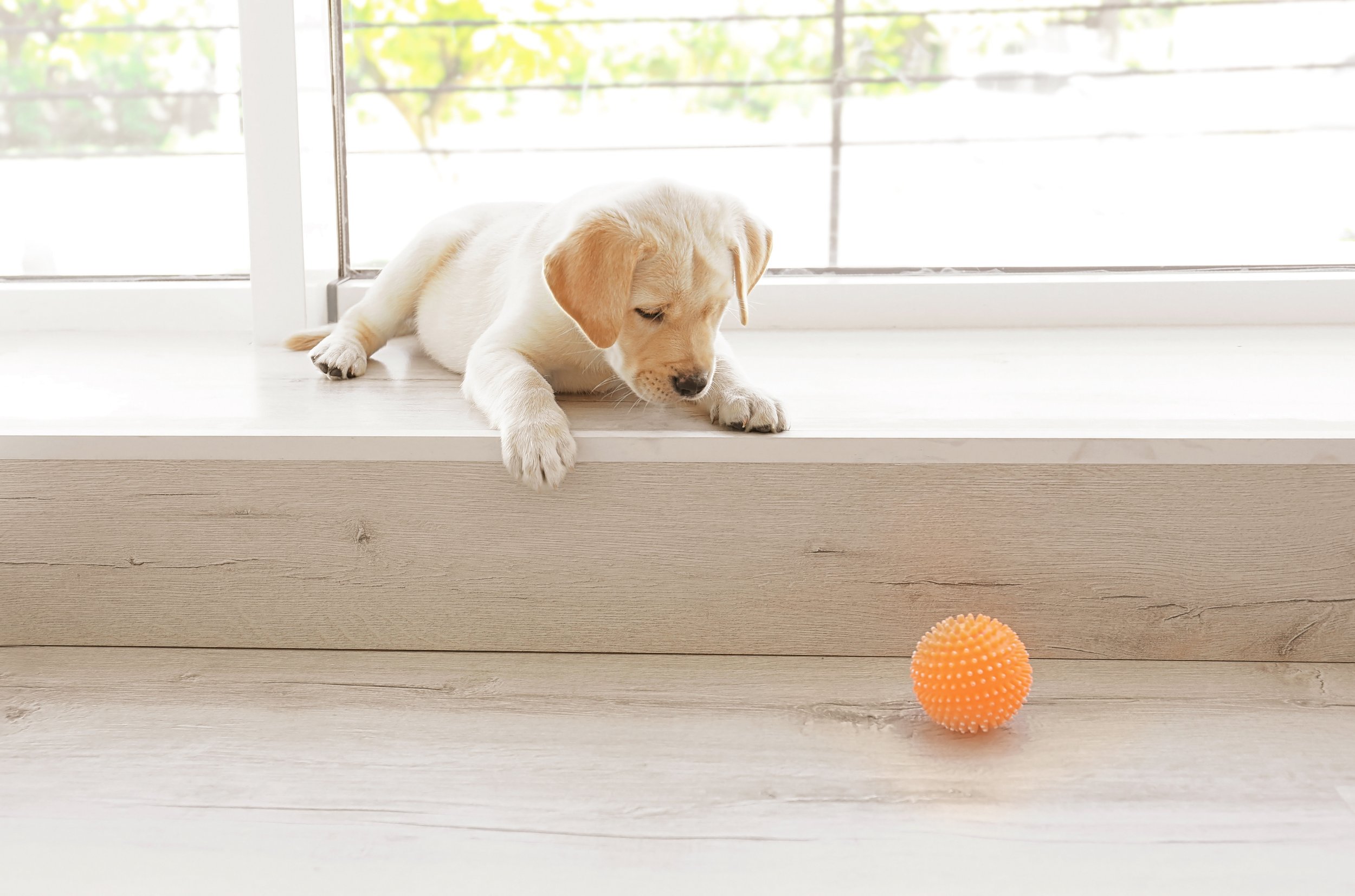 AdobeStock_162093419.jpeg