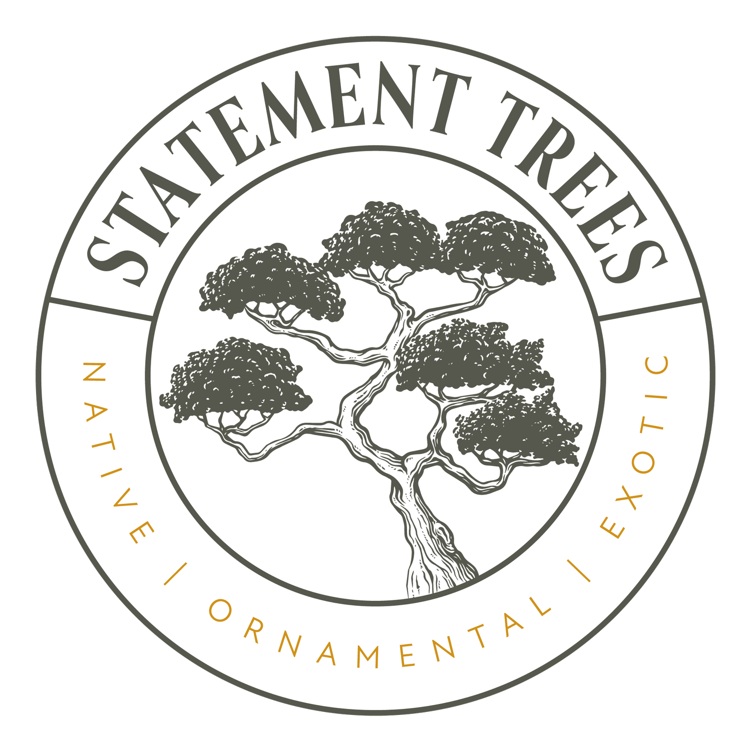 Statement Trees