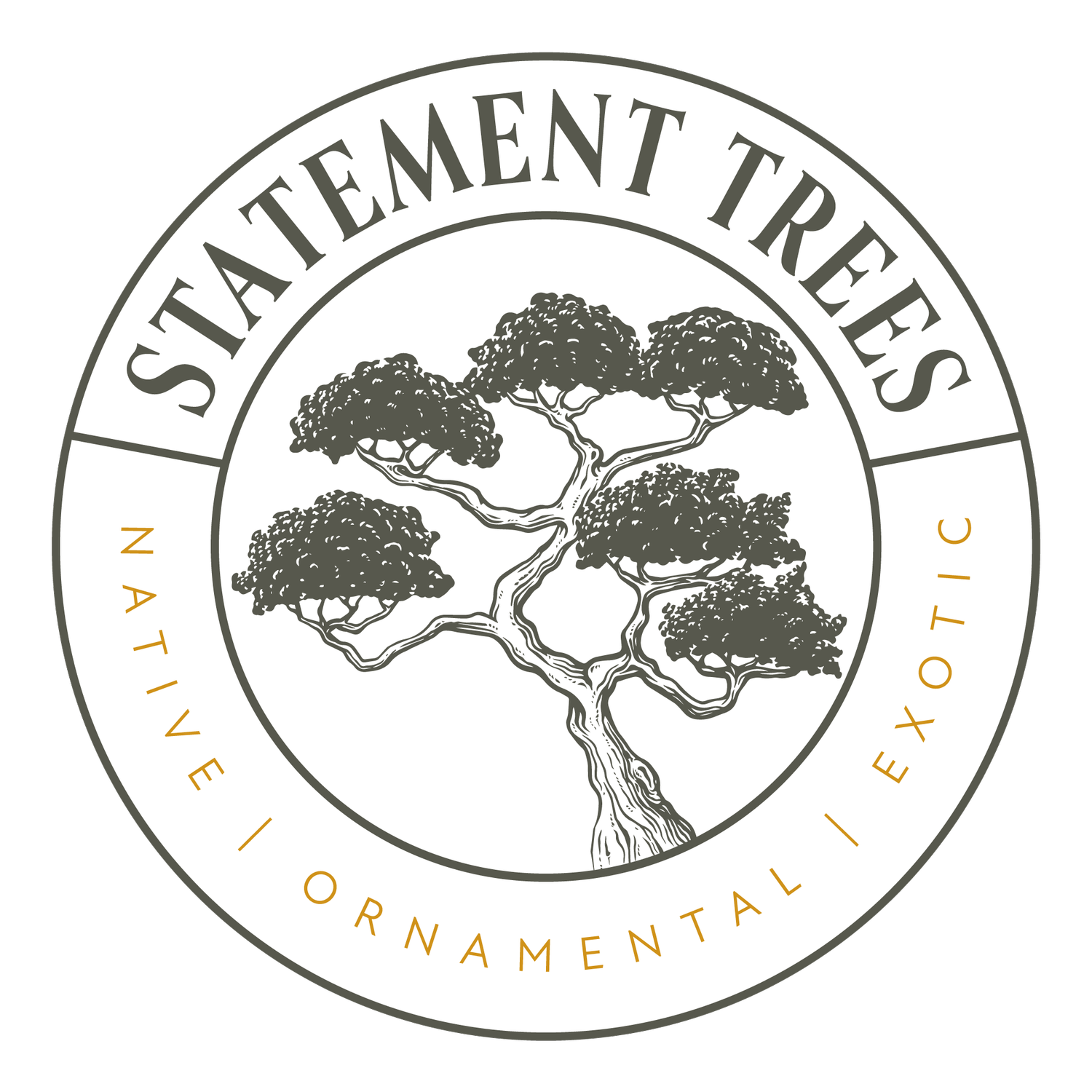 Statement Trees statement-trees