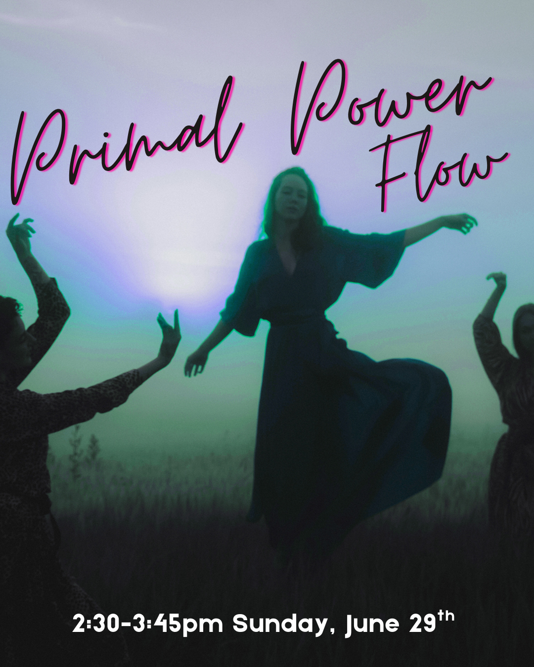 Primal Power Flow