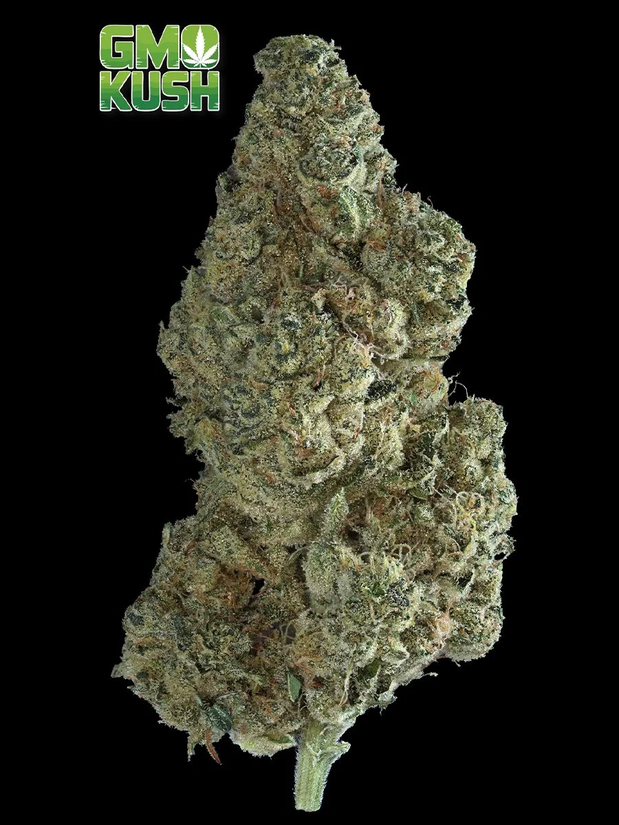 GMO Kush