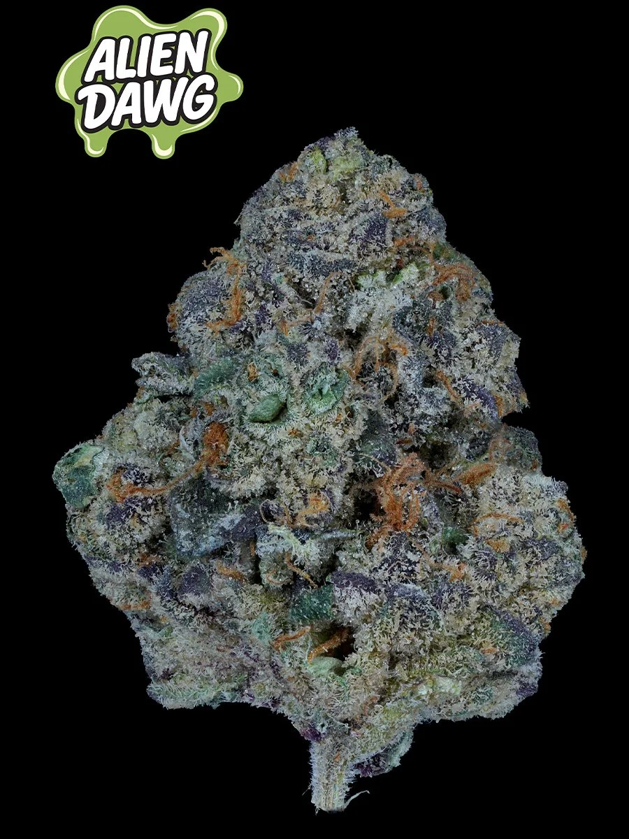 Alien Dawg
