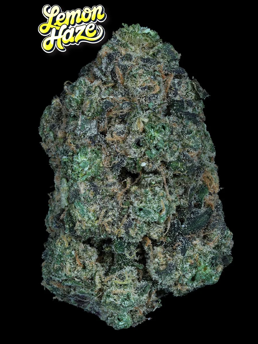 Lemon Haze
