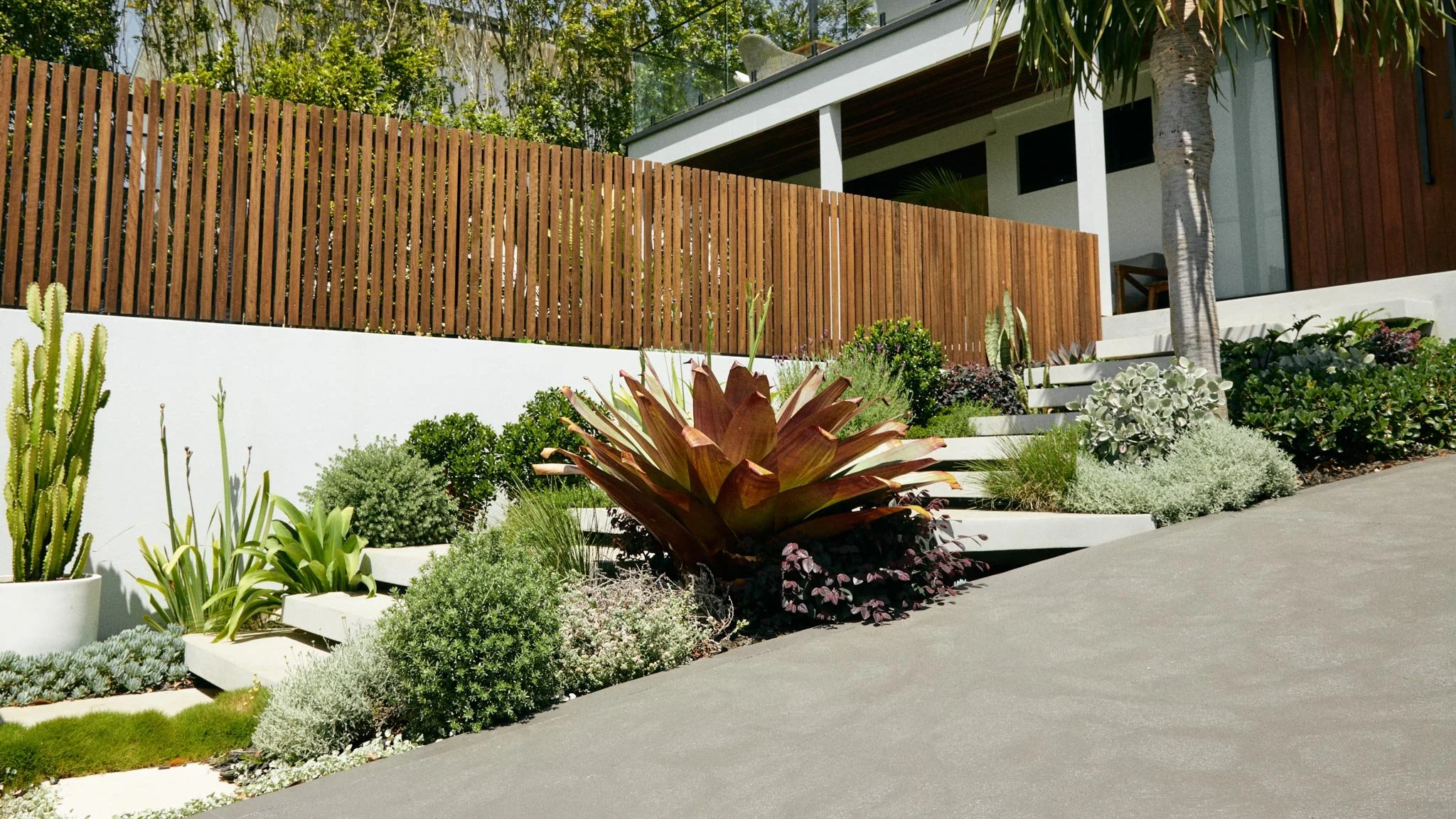 Nield Avenue, Balgowlah concrete feature steps and hardwood batten balustrade