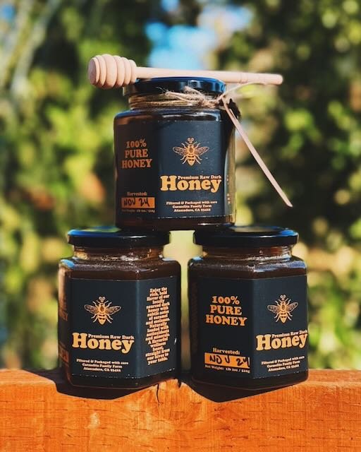 20241109_CFF_Honey1-web.jpeg