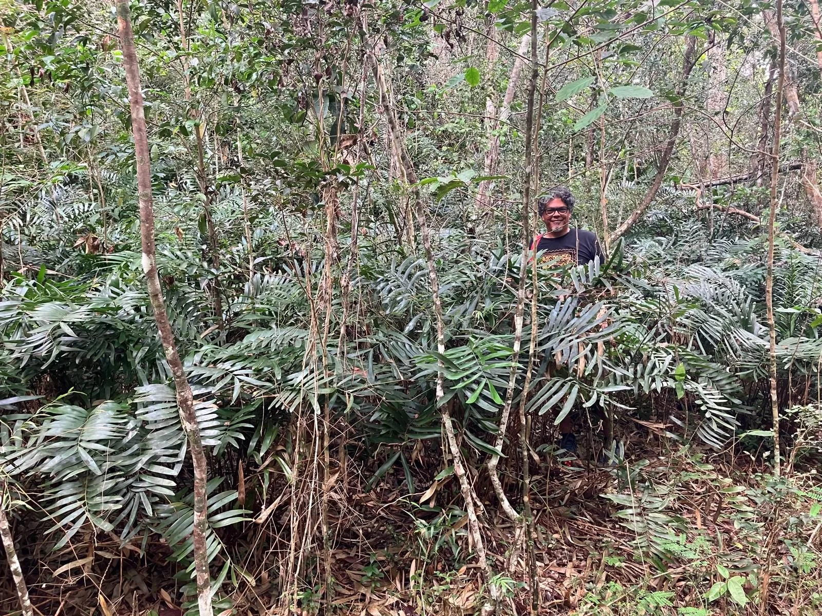 Laboratorio — Marunguey