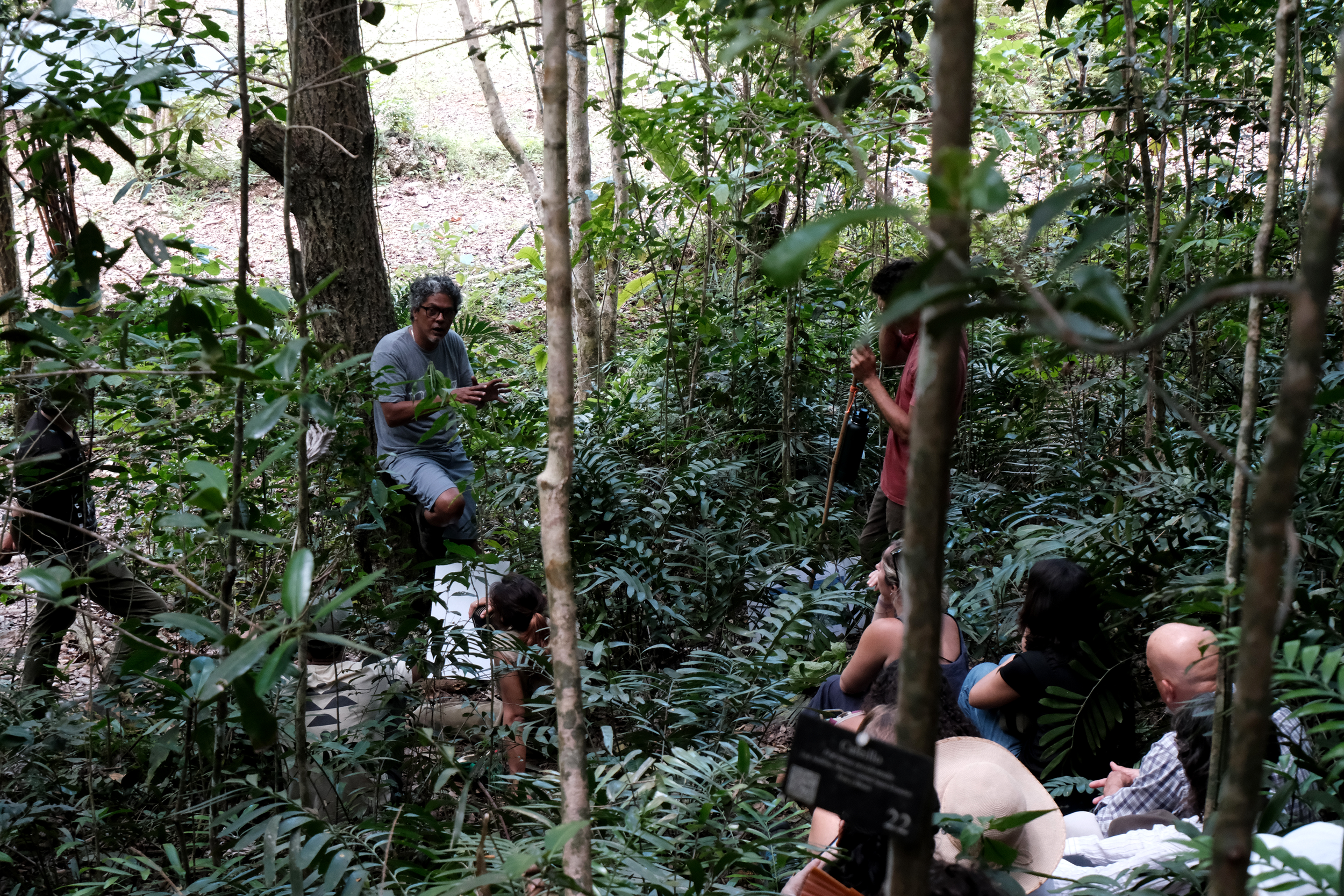 Laboratorio Marunguey, Jaime Pagán Jiménez