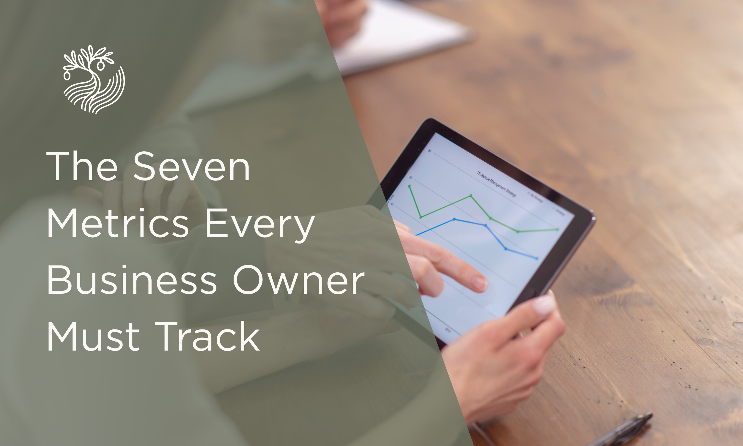 The Seven Metrics Every Business Owner Must Track