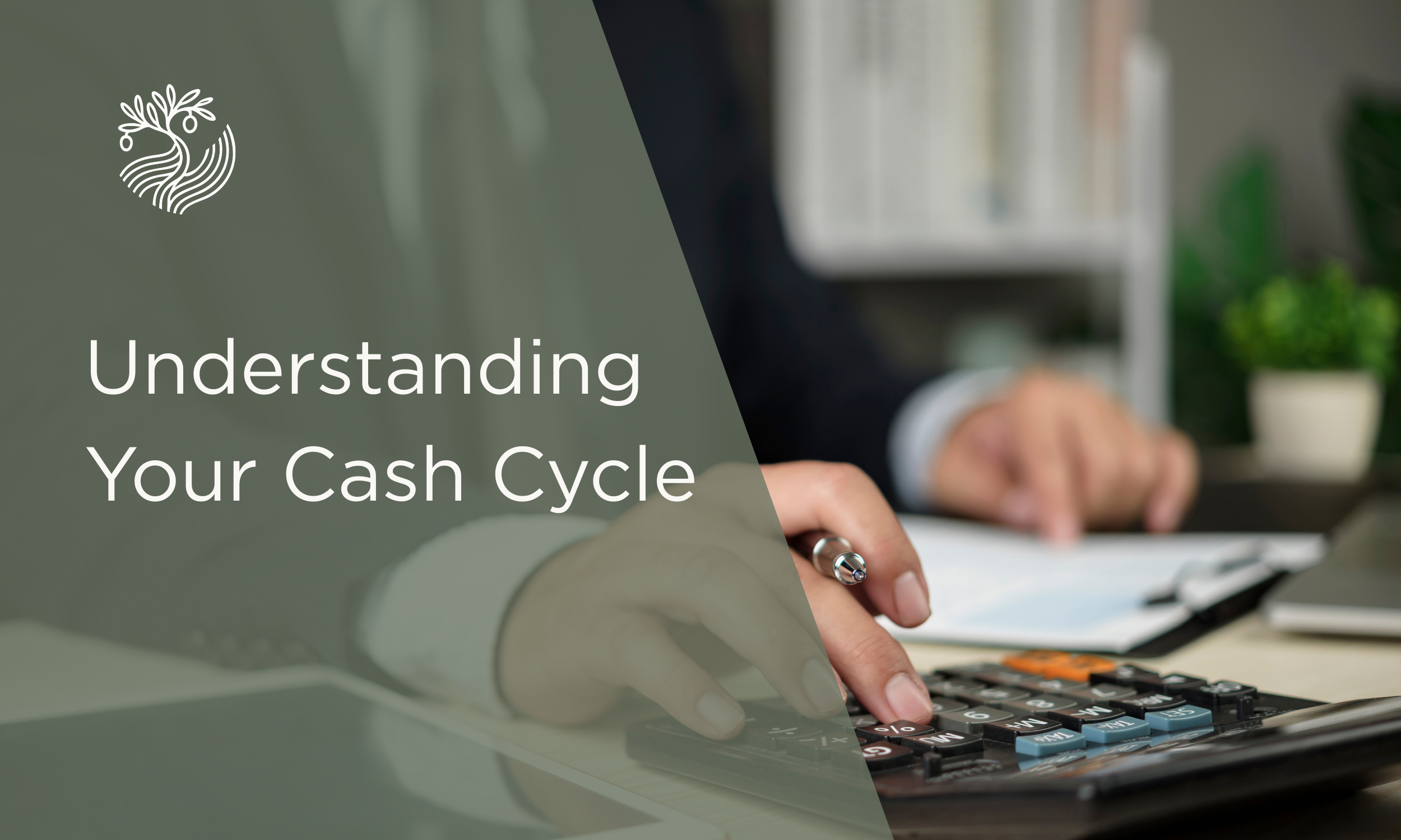 Understanding Your Cash Cycle