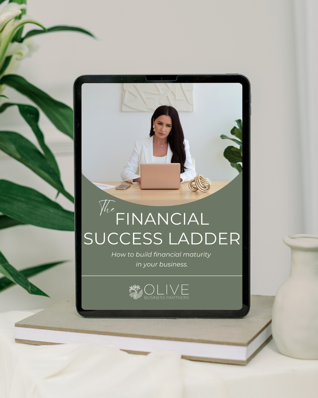 The Financial Success Ladder — Olive Business Partners