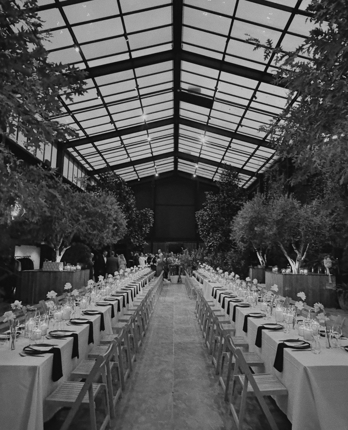 A&amp;D captured at Glasshouse 🖤⁠
⁠
⁠
⁠
#sociallover #sociallovernz #social #lover #contentcreator #weddingcontentcreator #weddingcontent #contentcreatornz #lofi #aesthetic #loficontent #bts #weddingplanning #realwedding #married #groom #engaged #br