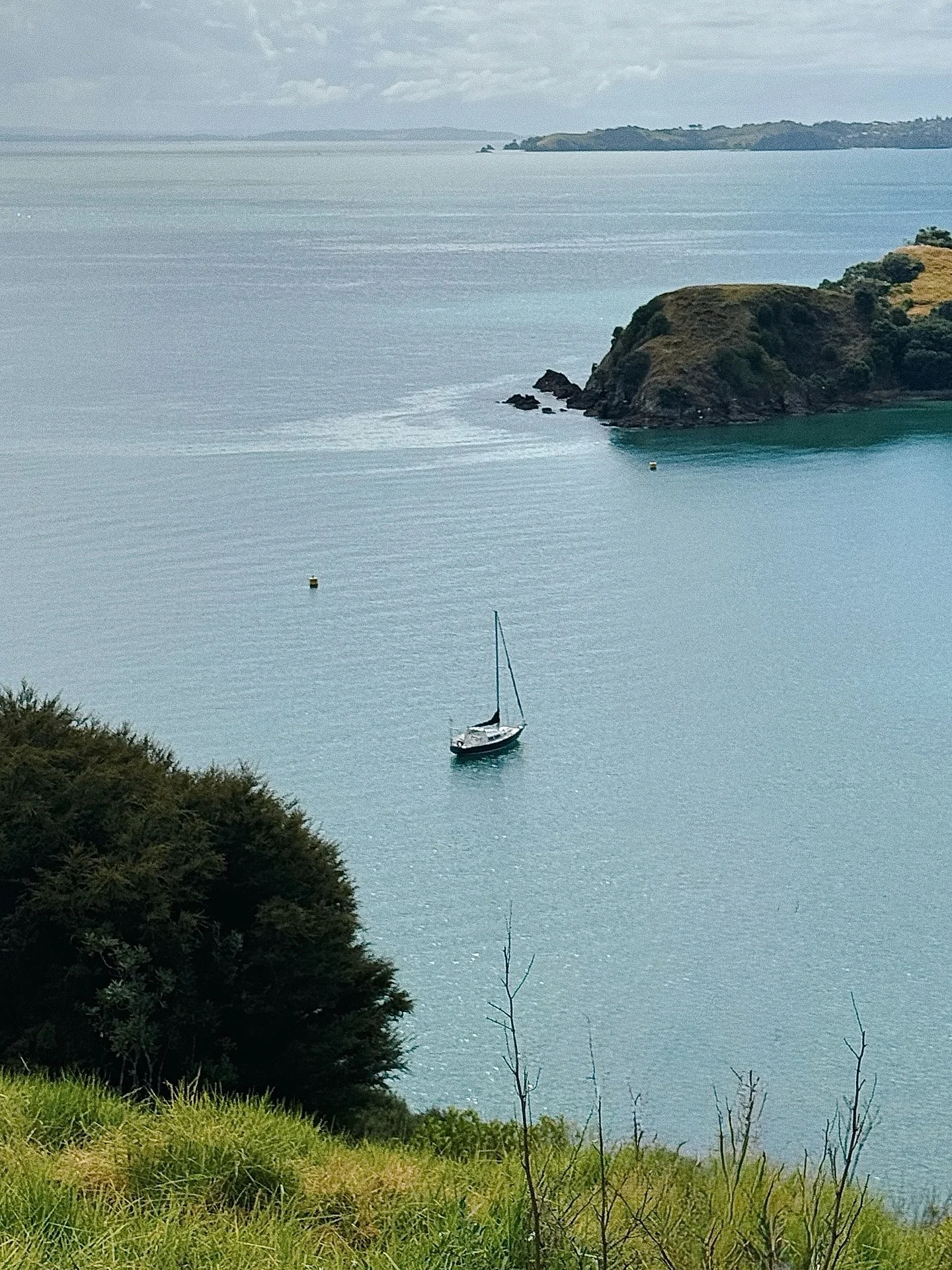 D&Z captured at Tantalus Estate, Waiheke 🖤
bride @dakota.nelson | groom @whereiswalderat | venue @tantalusestate | dress @madewithlovebridal | suit @suitsupply | makeup/hair @thepeach_club | florist @wildflowerwaiheke | celebrant @riavander