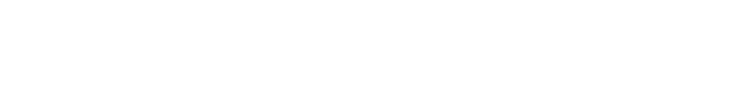 New York Dog Parade