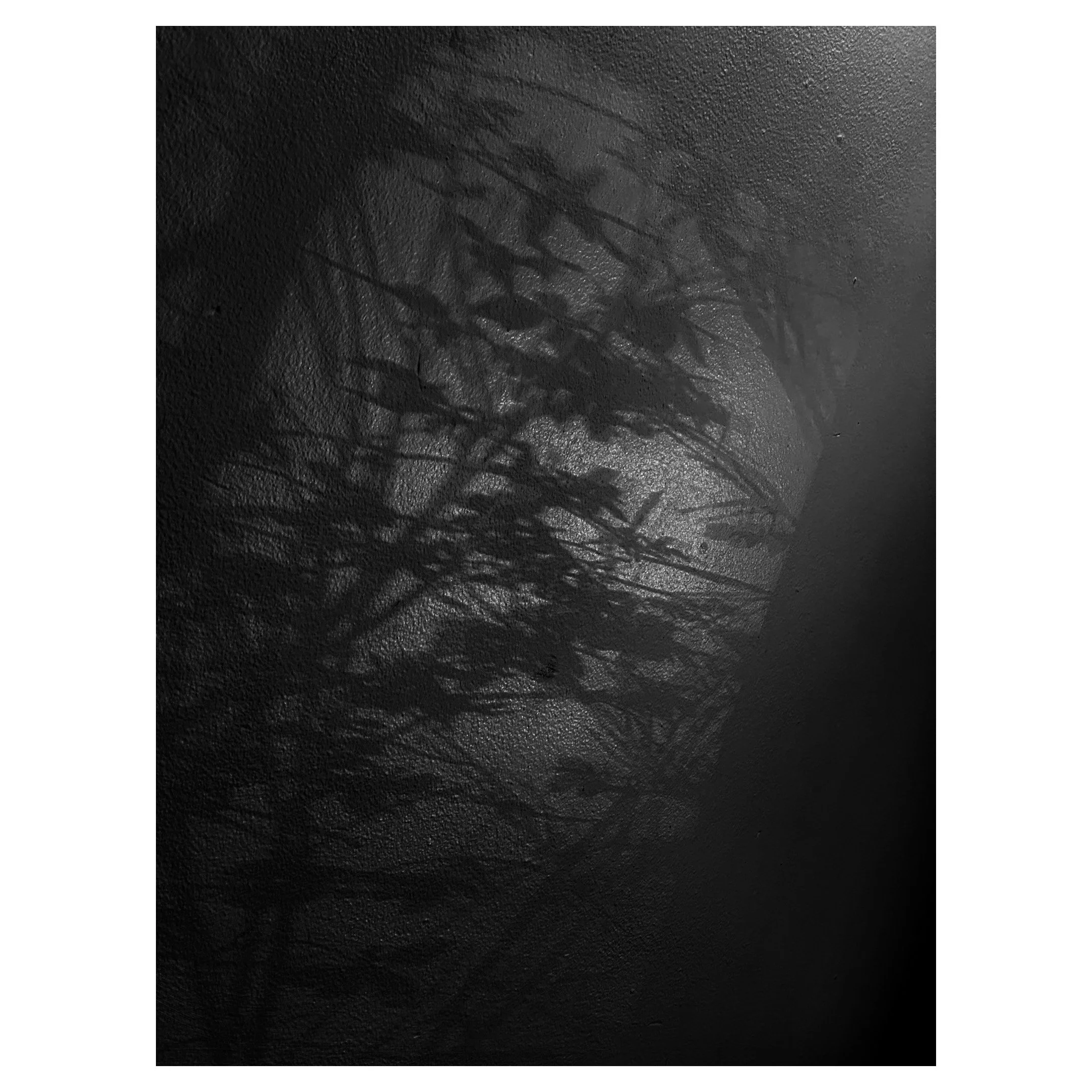Shadows