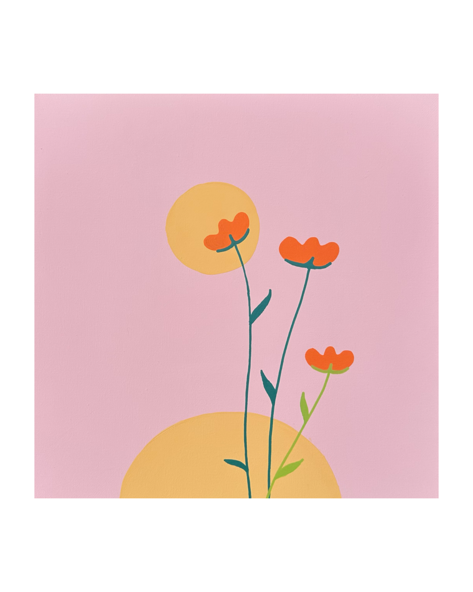 C8570BBC-FAC4-4FC7-A30F-B05587E5A876.png
