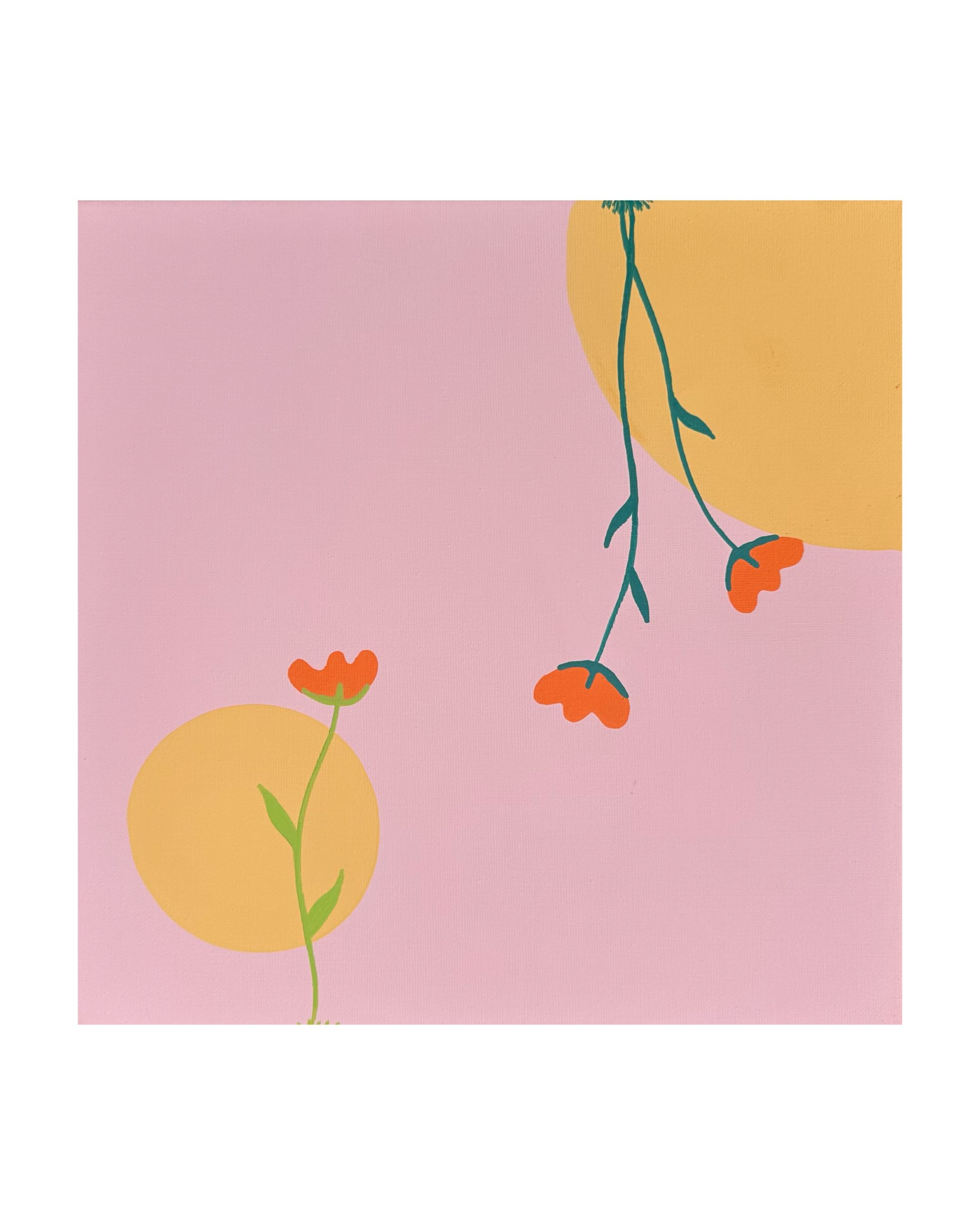 5D62FDAA-3002-47AC-AEF2-ED830D75573A.png