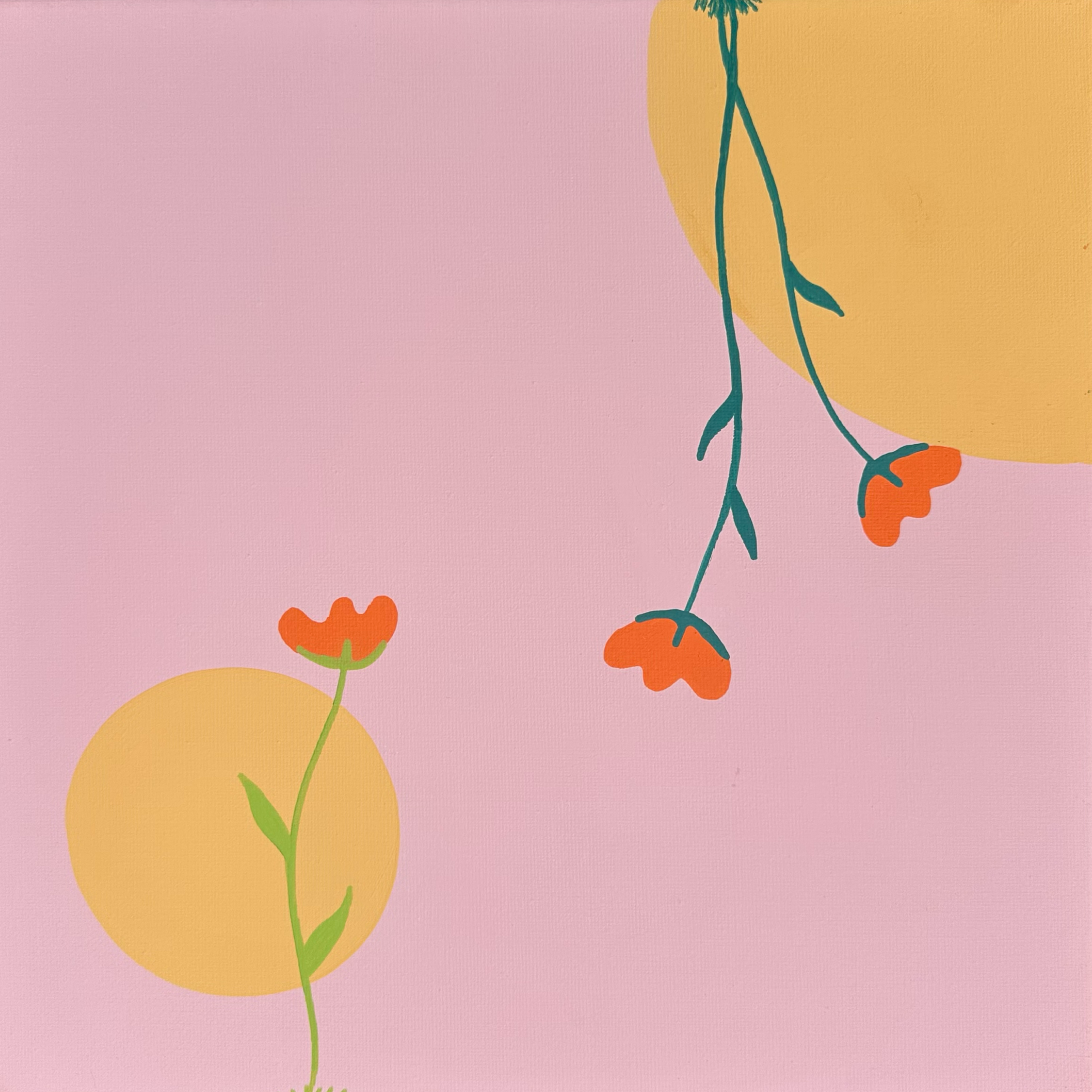 16F6477C-3A6C-49DA-9373-F05C19782332.png