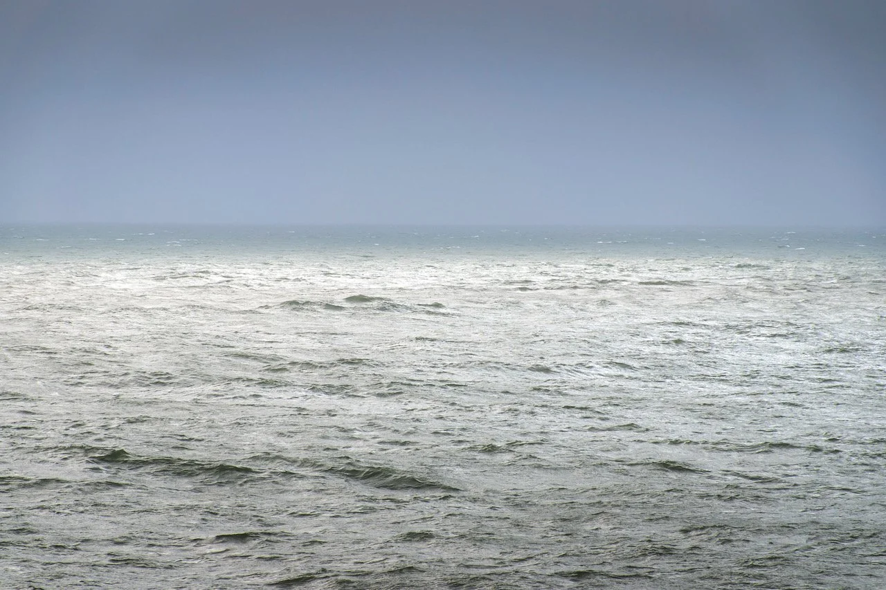 M_Fanelli-Chance-Encounters 7 photograph.jpeg