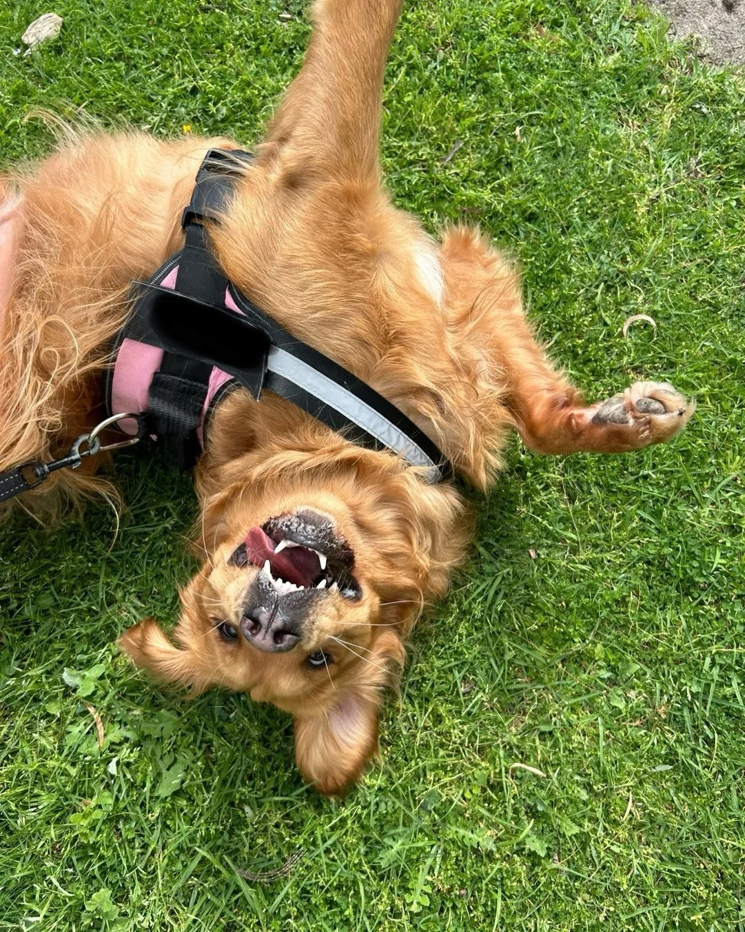 Busy keeping everyone entertained