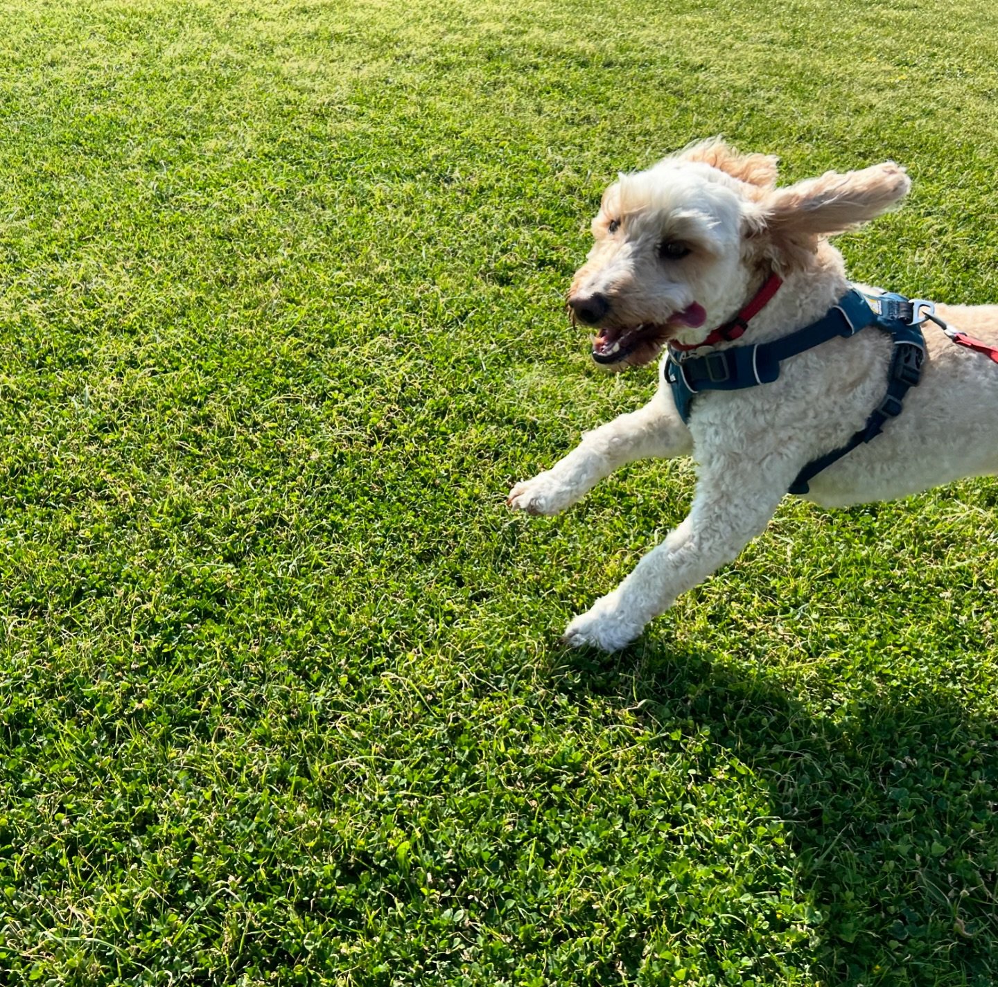 Summer vibes 💃🏼