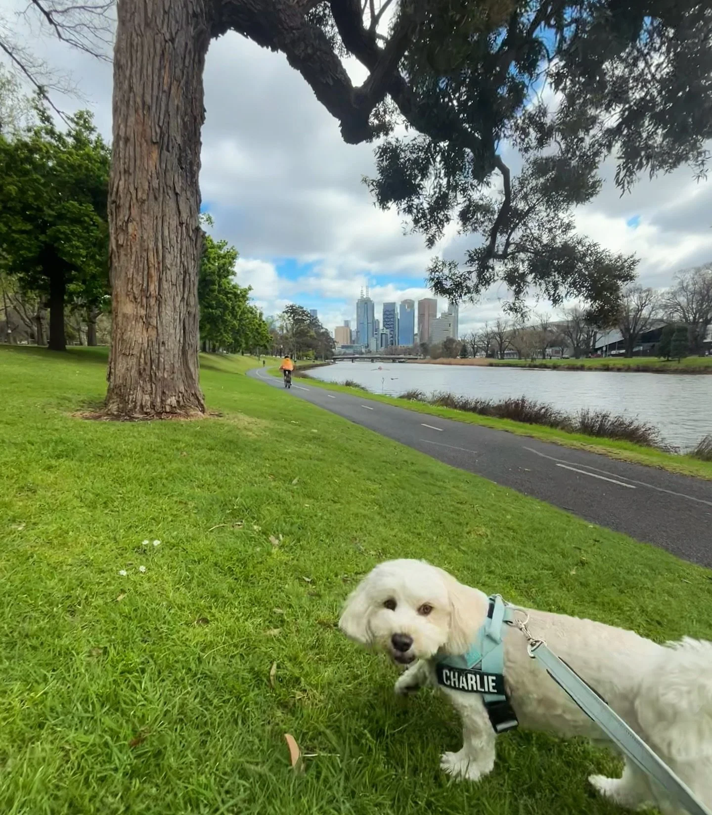 Living the life 😍