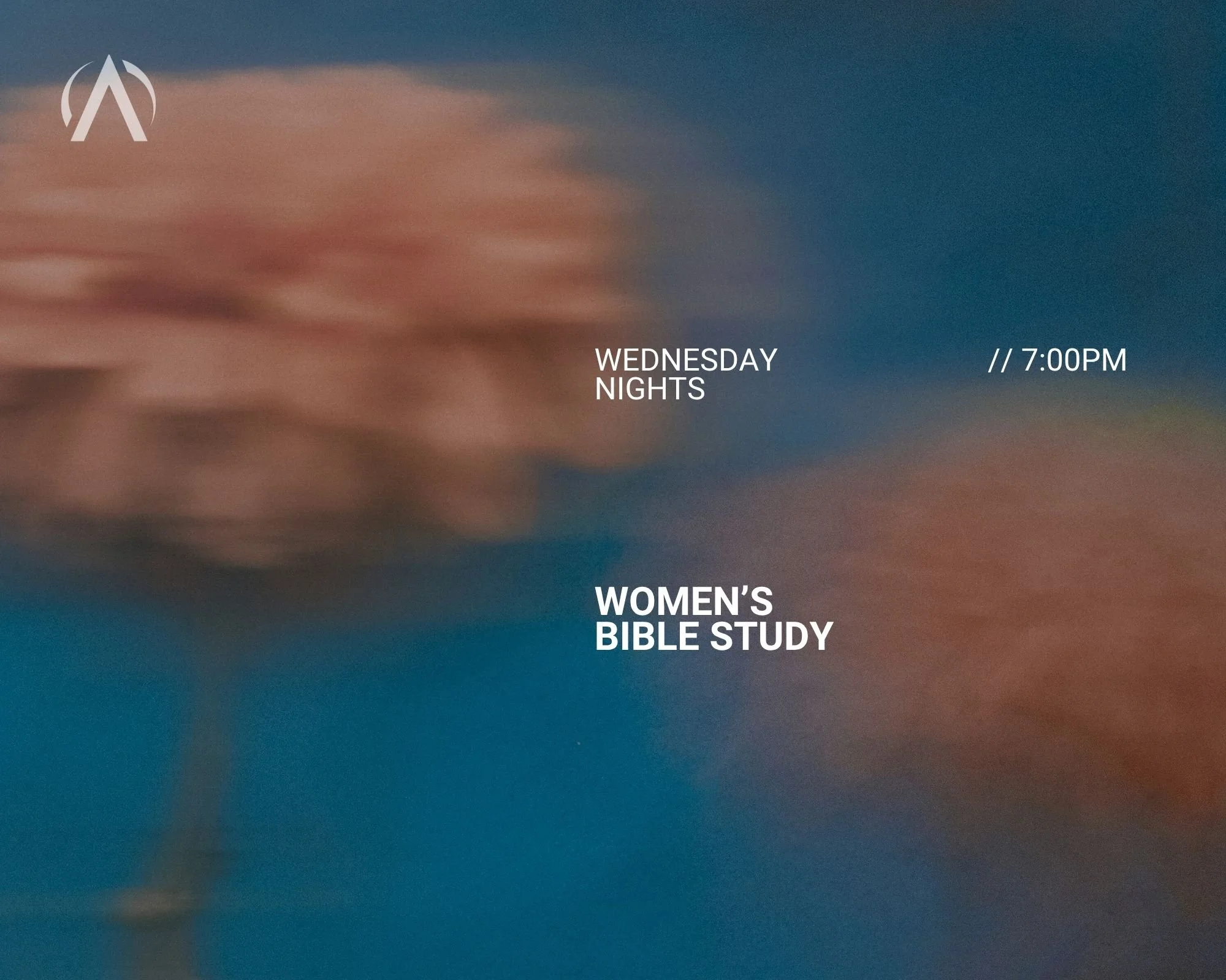 WOMEN IN THE WORD
