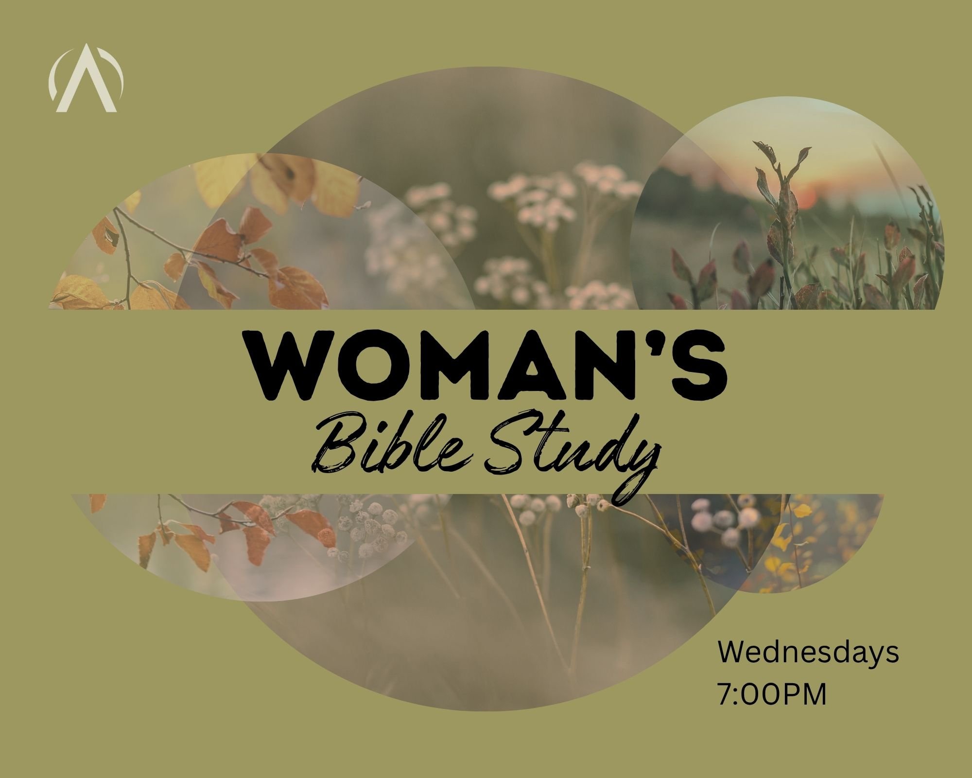 WOMEN IN THE WORD