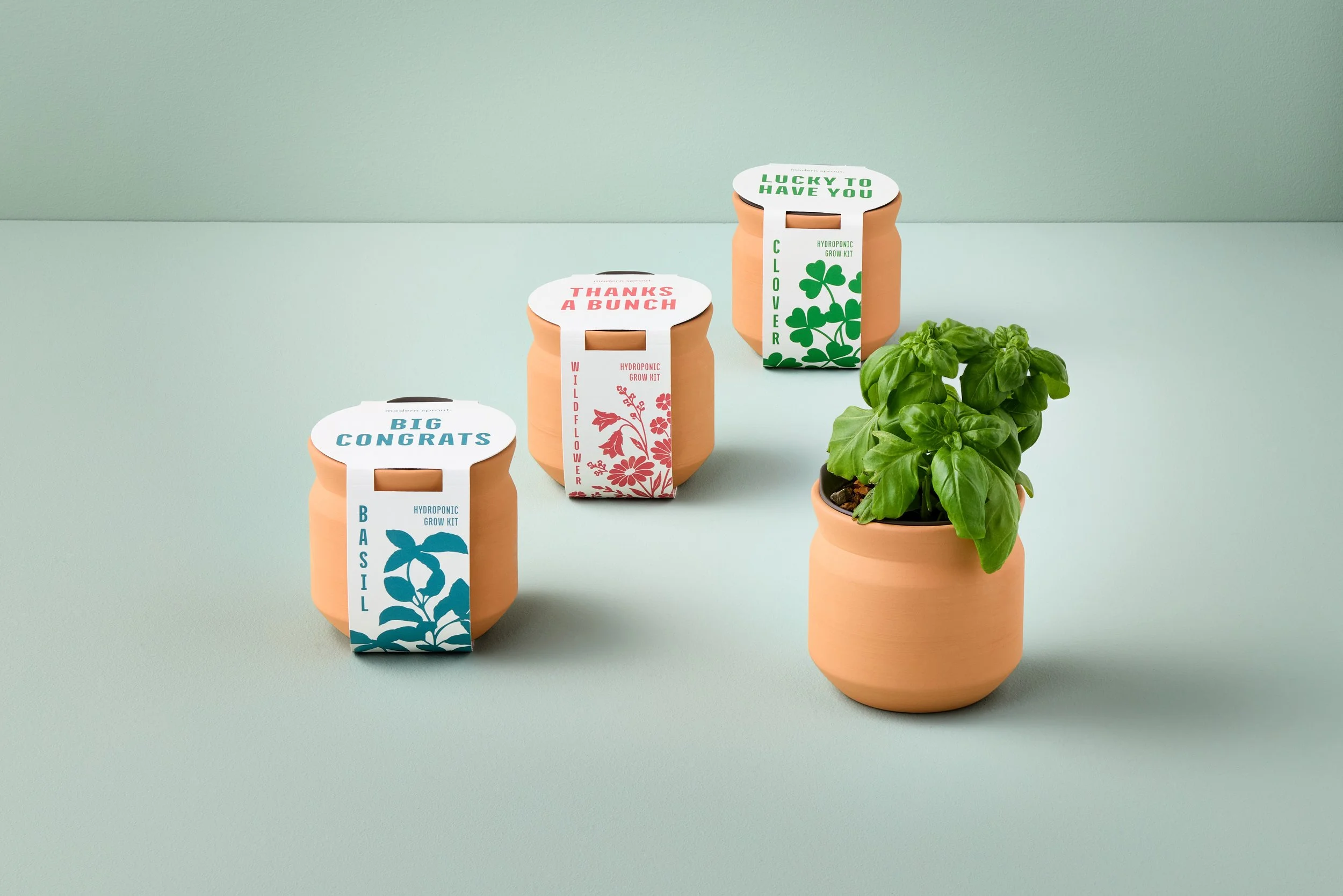 Tiny Terracotta