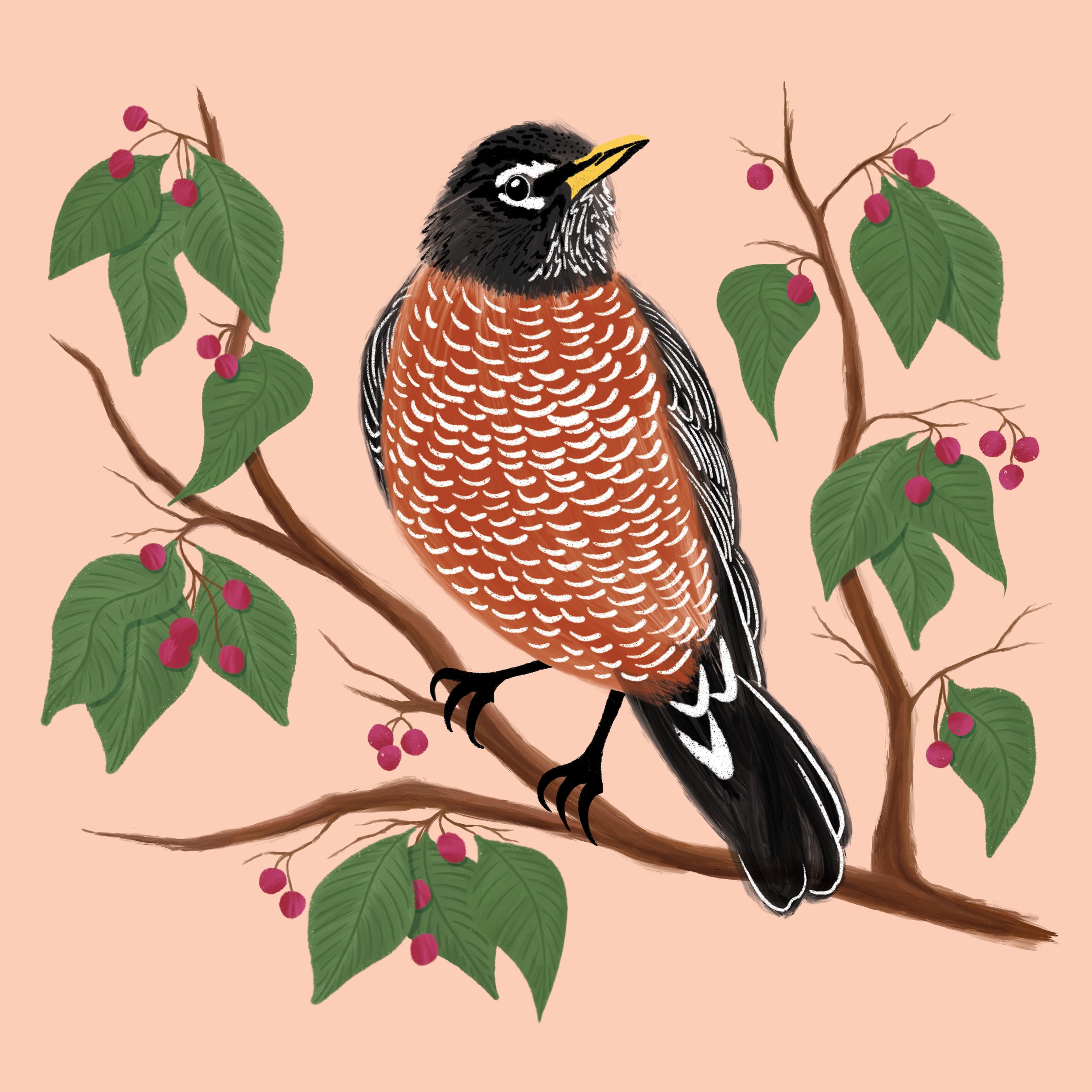 2025 Bird Calendar - Robin