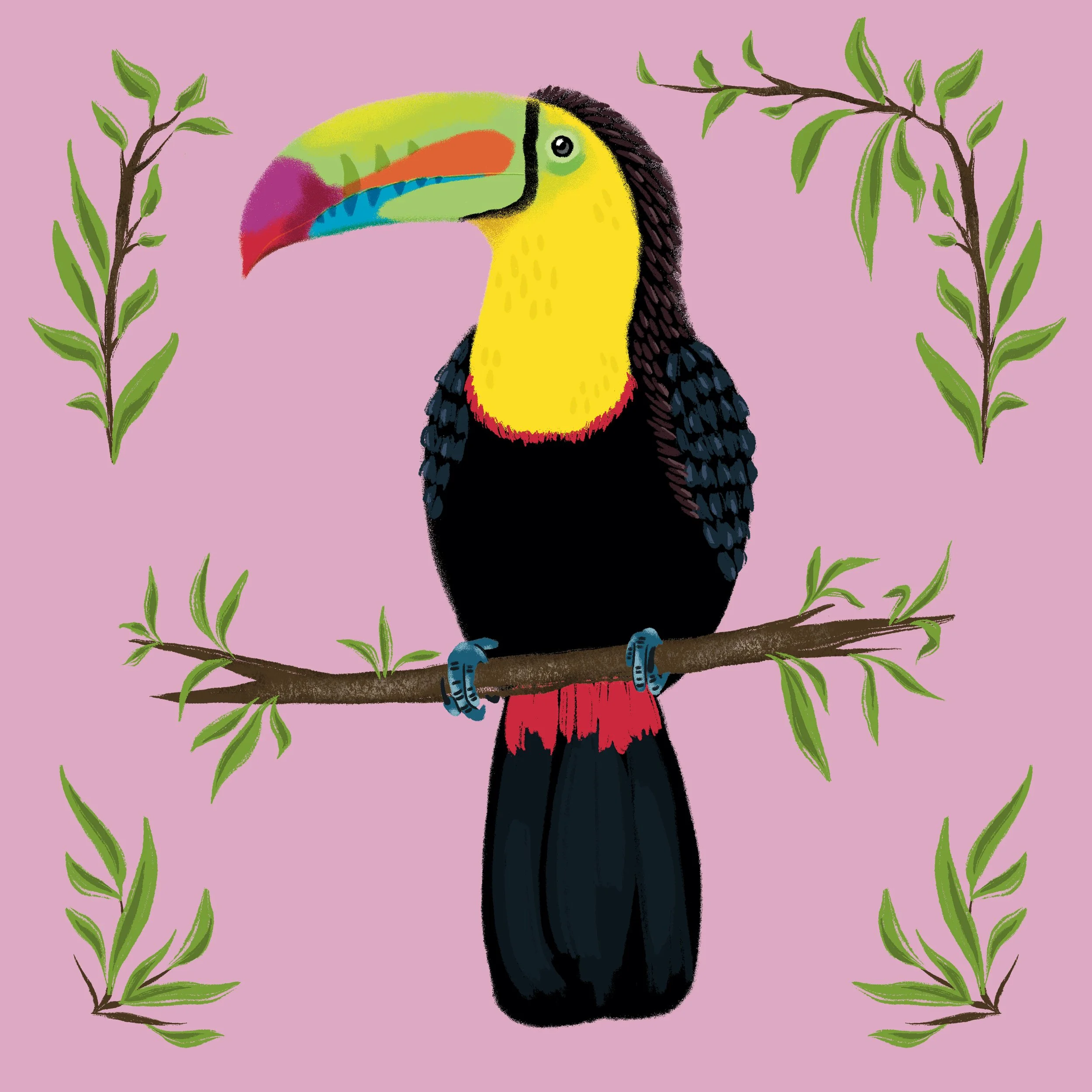 2025 Bird Calendar - Toucan