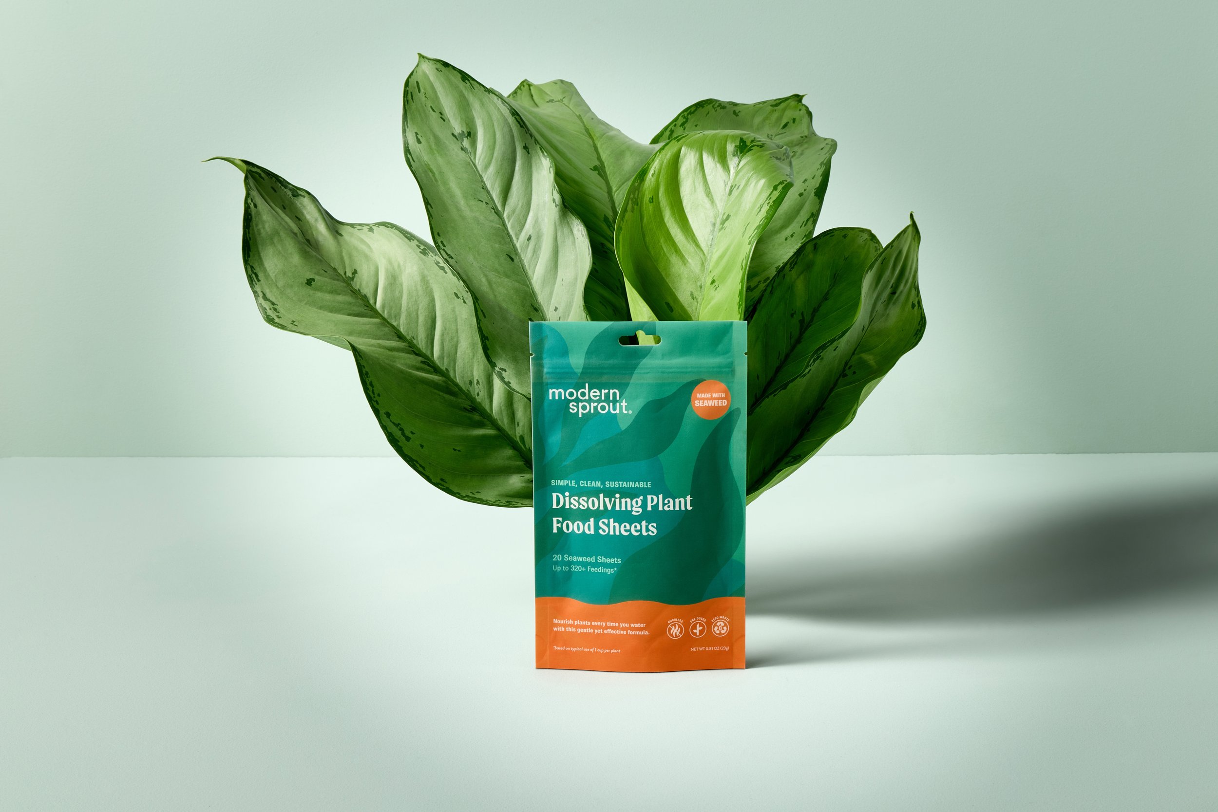 Plant Food