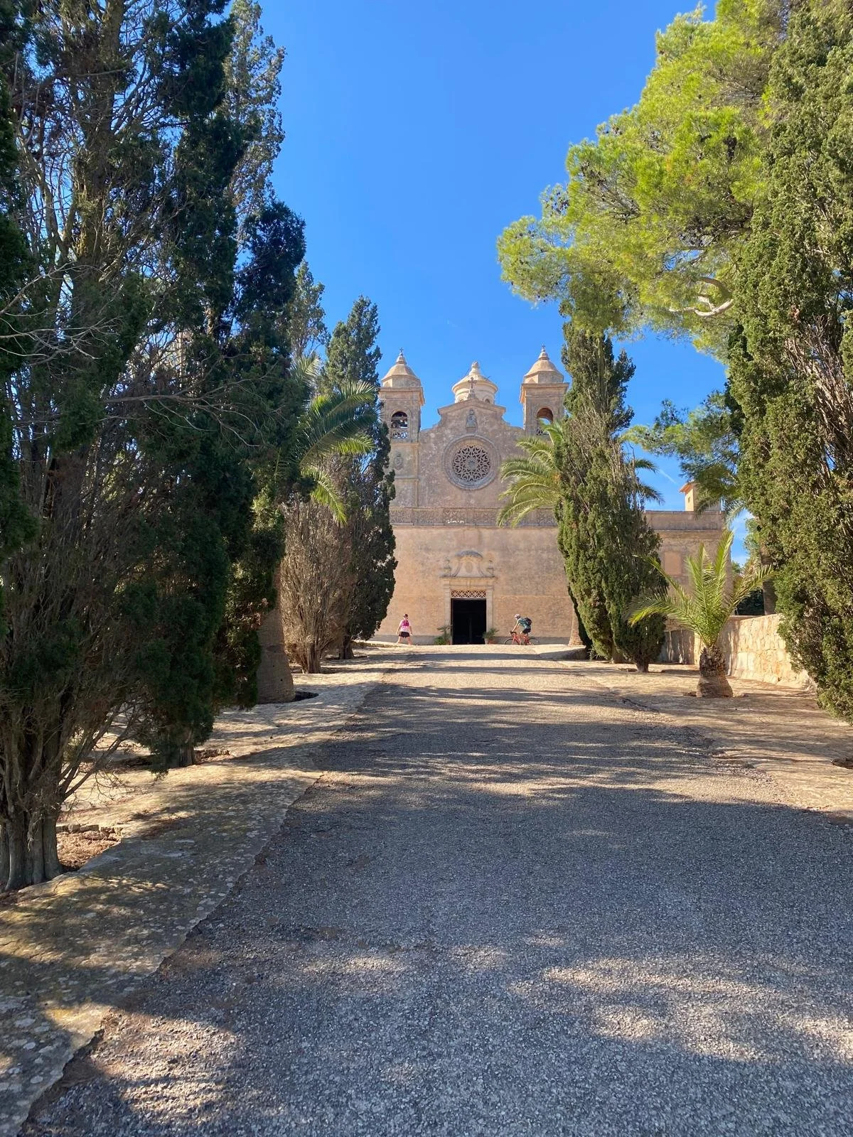 WhatsApp Image 2024-10-19 at 11.02.27_45850360.jpg