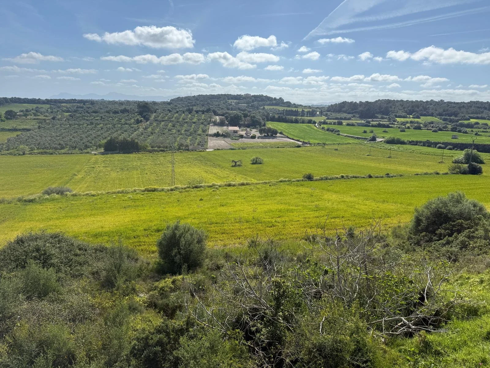 WhatsApp Image 2025-04-18 at 08.51.17_85e72bad.jpg