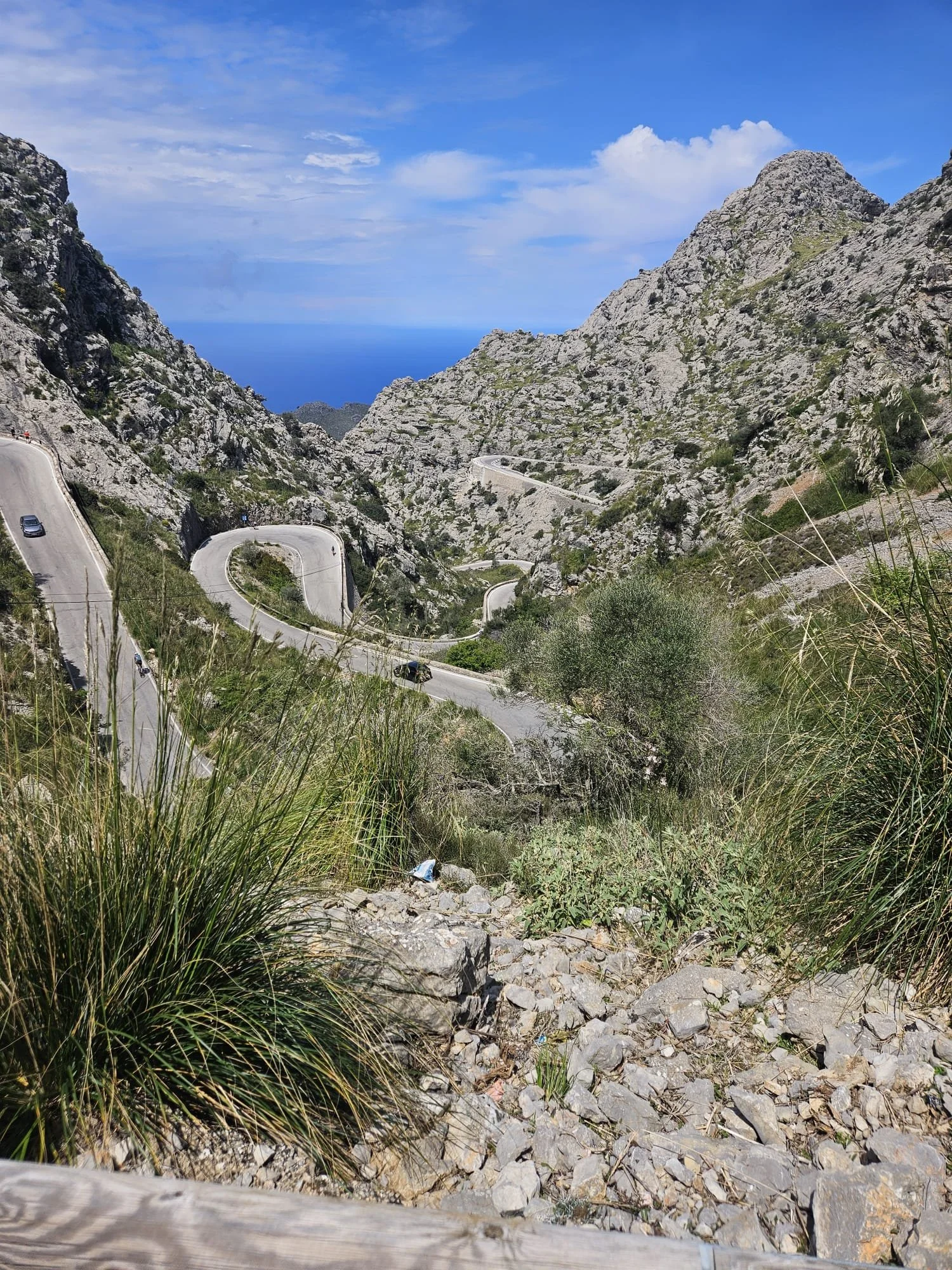 WhatsApp Image 2025-04-22 at 10.06.19_76c1a97a.jpg