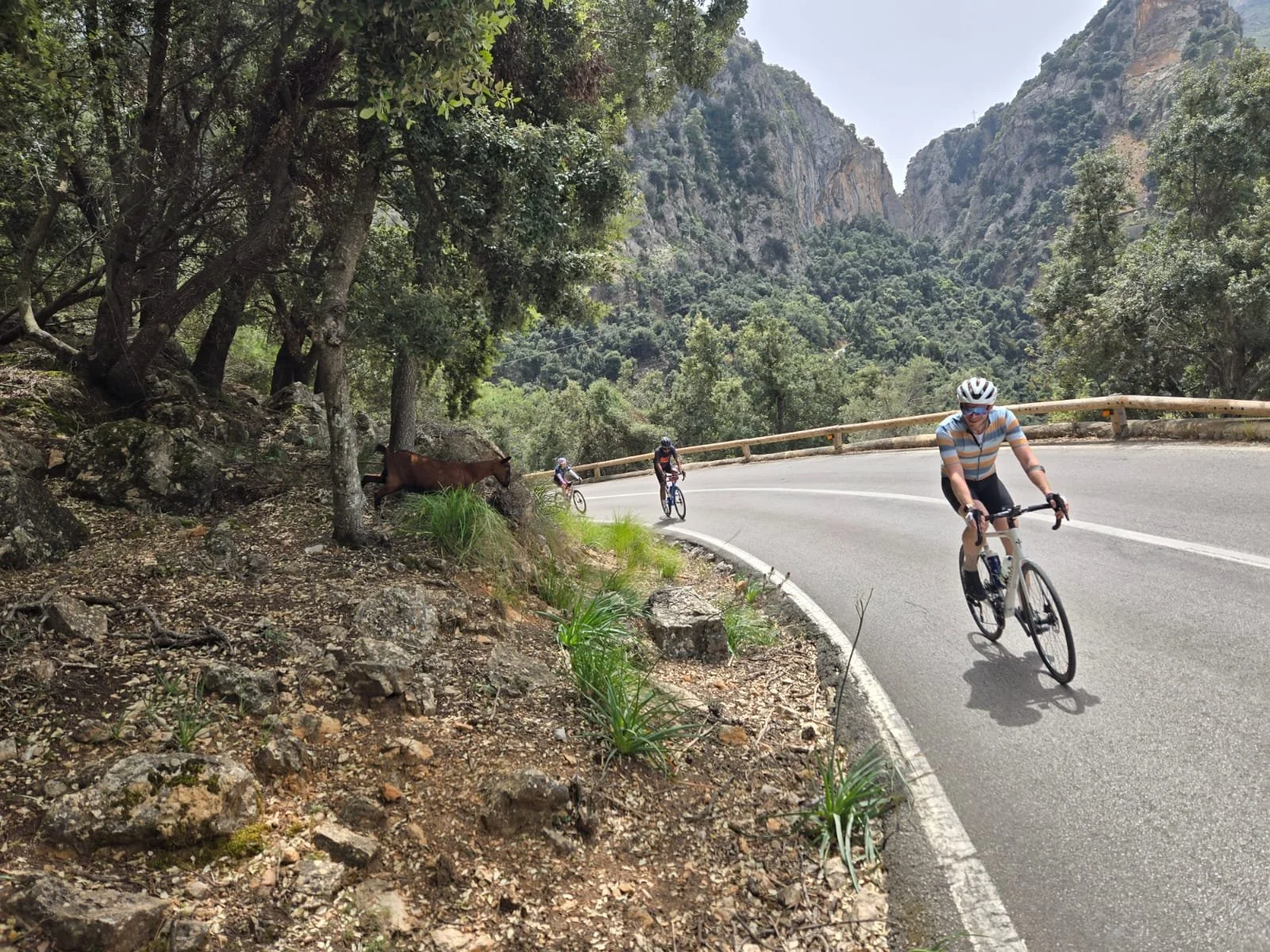 WhatsApp Image 2025-05-01 at 09.48.12_2528a93c.jpg