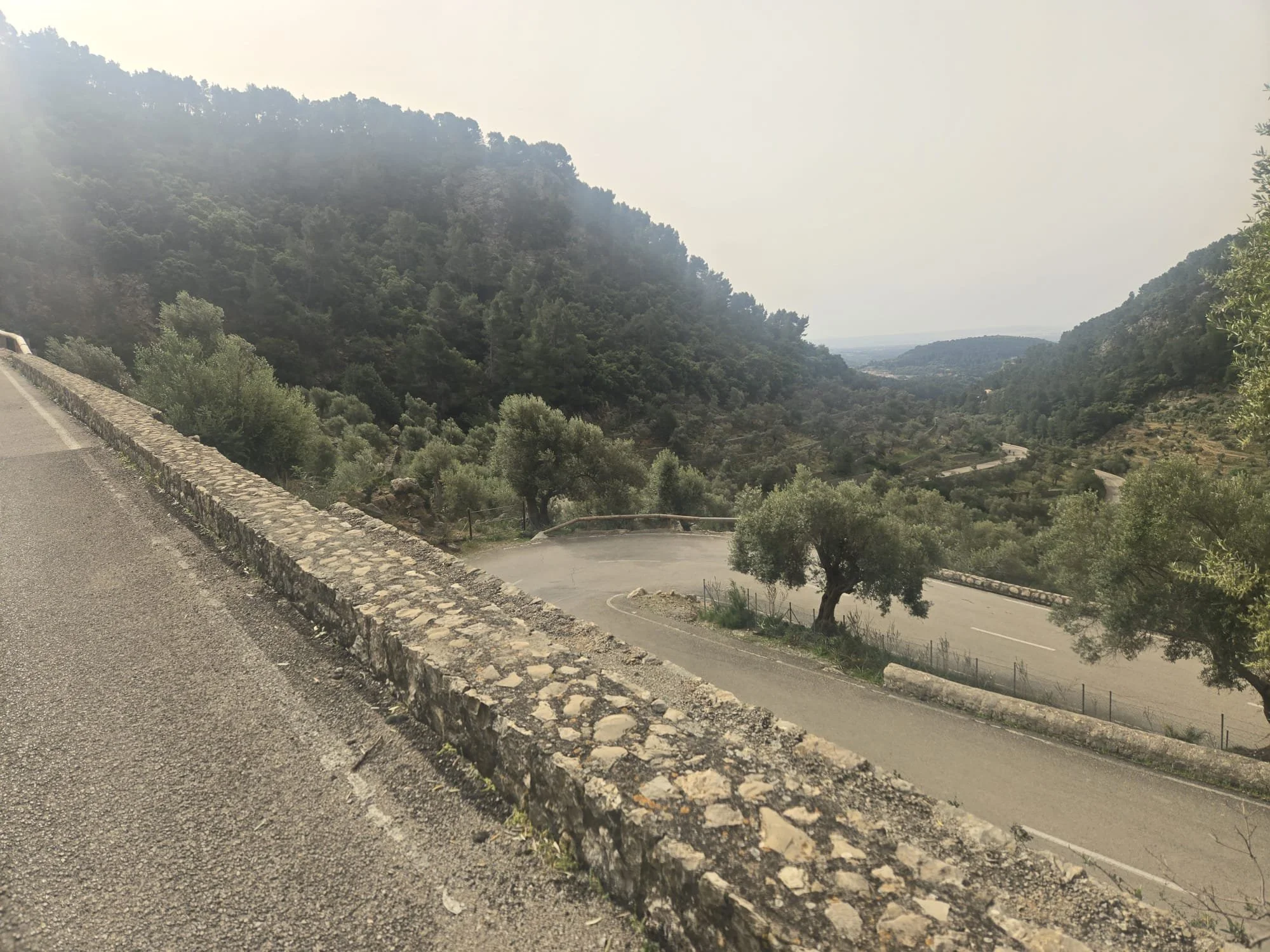 WhatsApp Image 2025-05-01 at 06.22.29_18cb109e.jpg