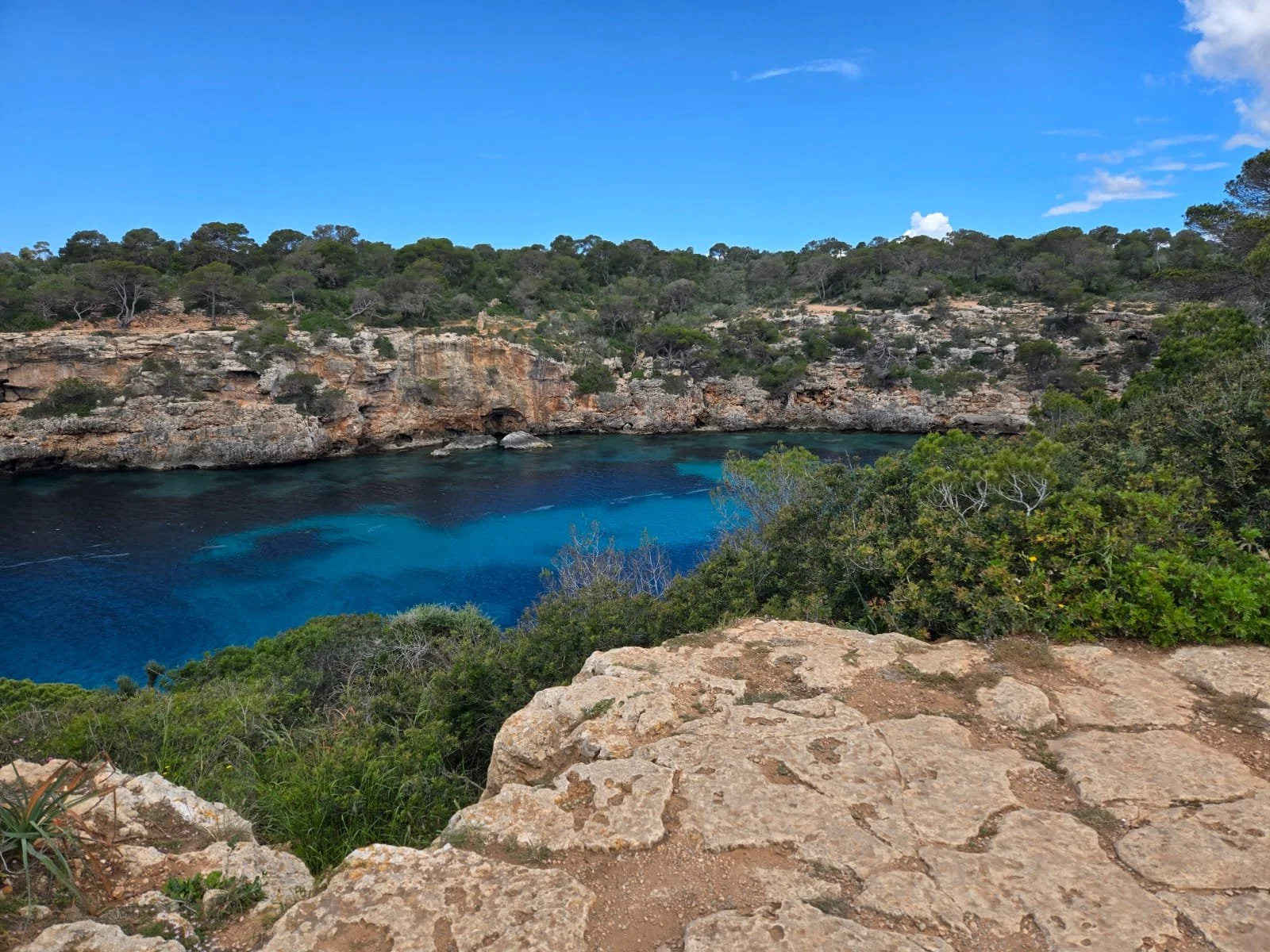 WhatsApp Image 2025-04-27 at 07.44.22_4e7a0ca1.jpg