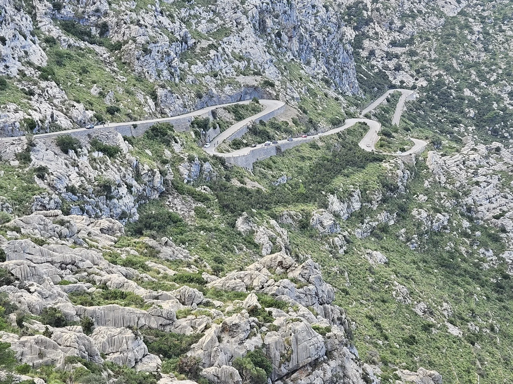 WhatsApp Image 2024-10-28 at 09.57.38_d3cbb38c.jpg