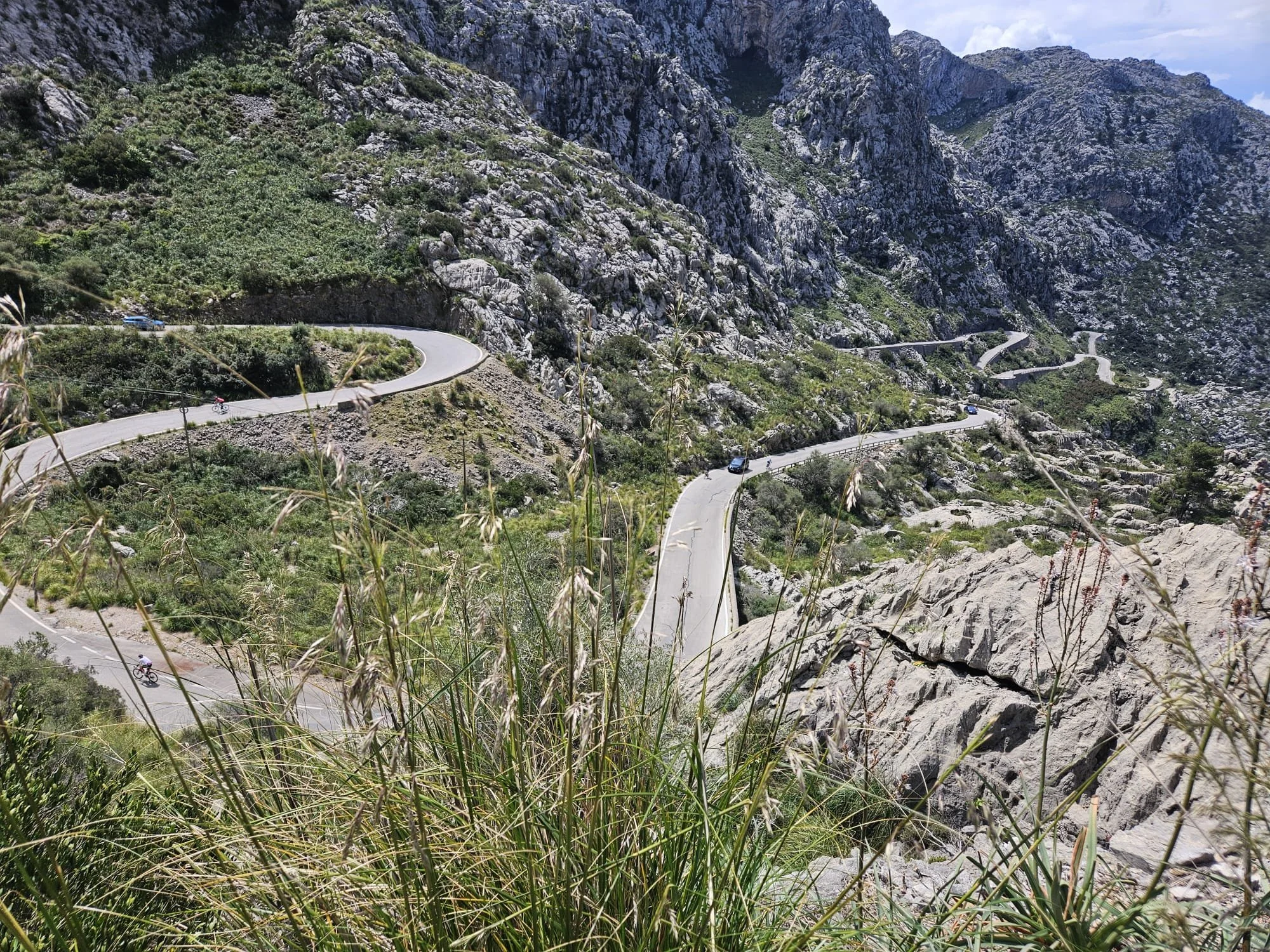 WhatsApp Image 2025-04-22 at 10.06.19_e7ecdd4e.jpg