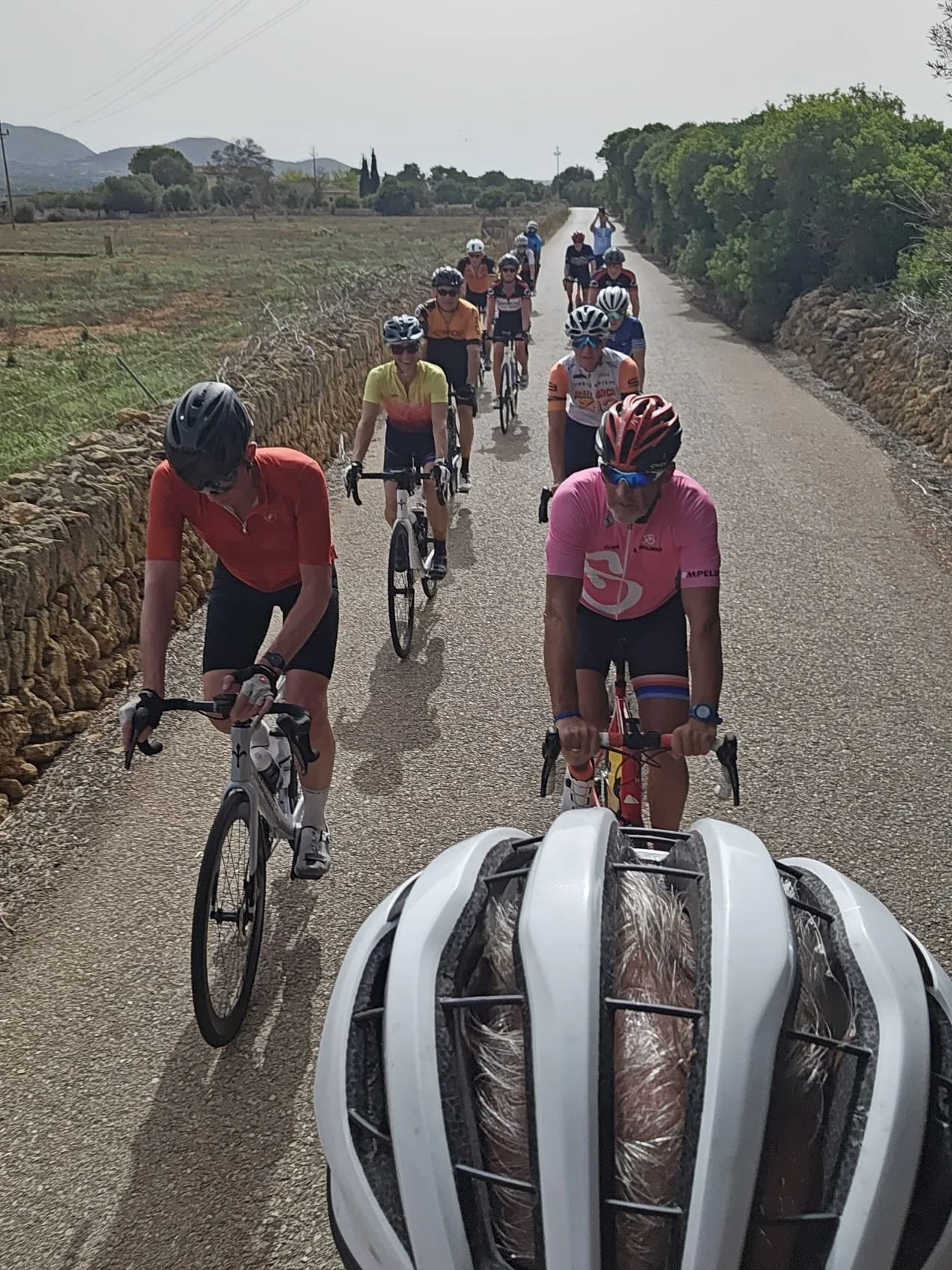 WhatsApp Image 2024-10-28 at 09.57.38_ee226060.jpg