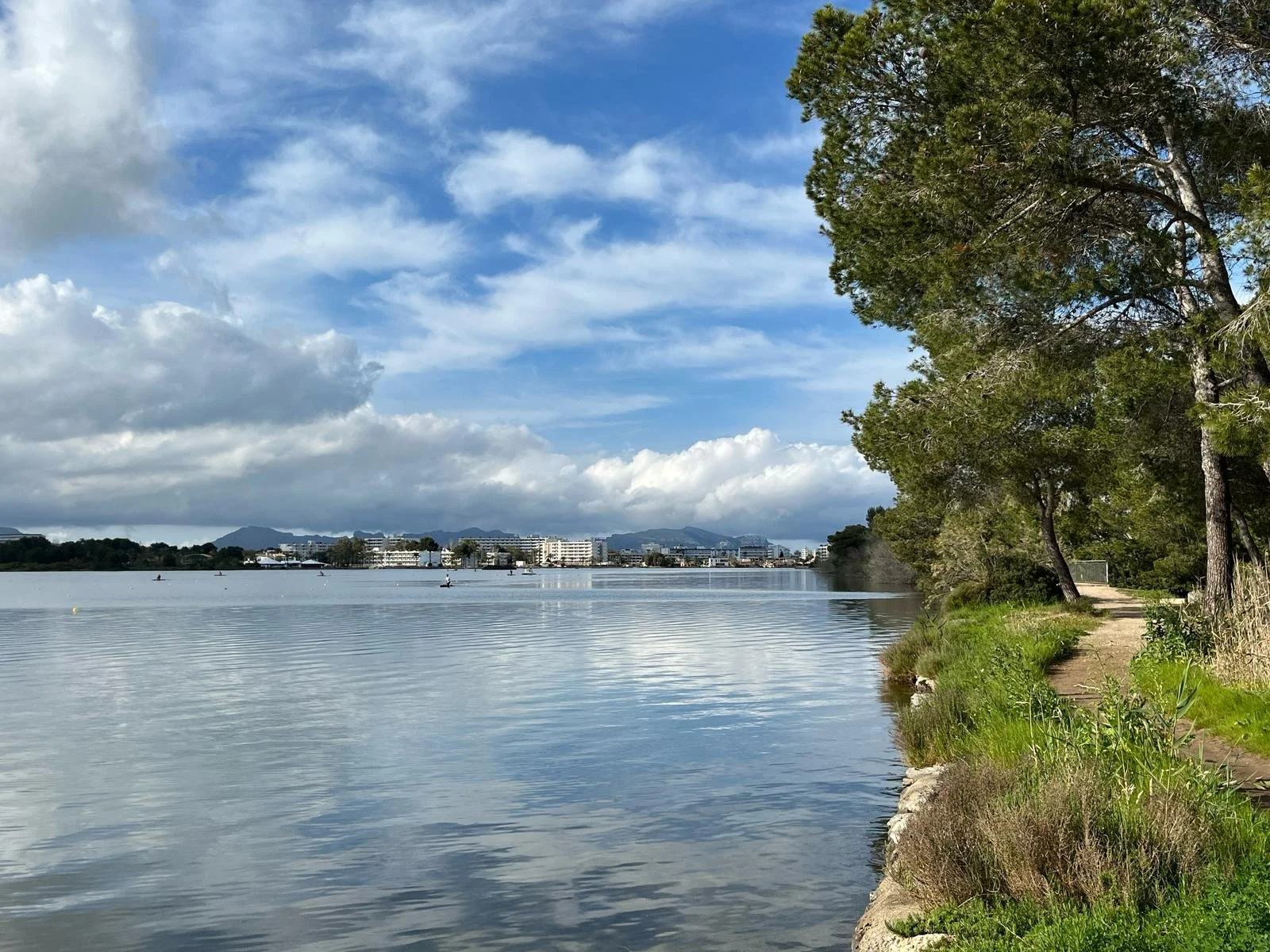 WhatsApp Image 2025-04-14 at 12.08.26_a62affd1.jpg