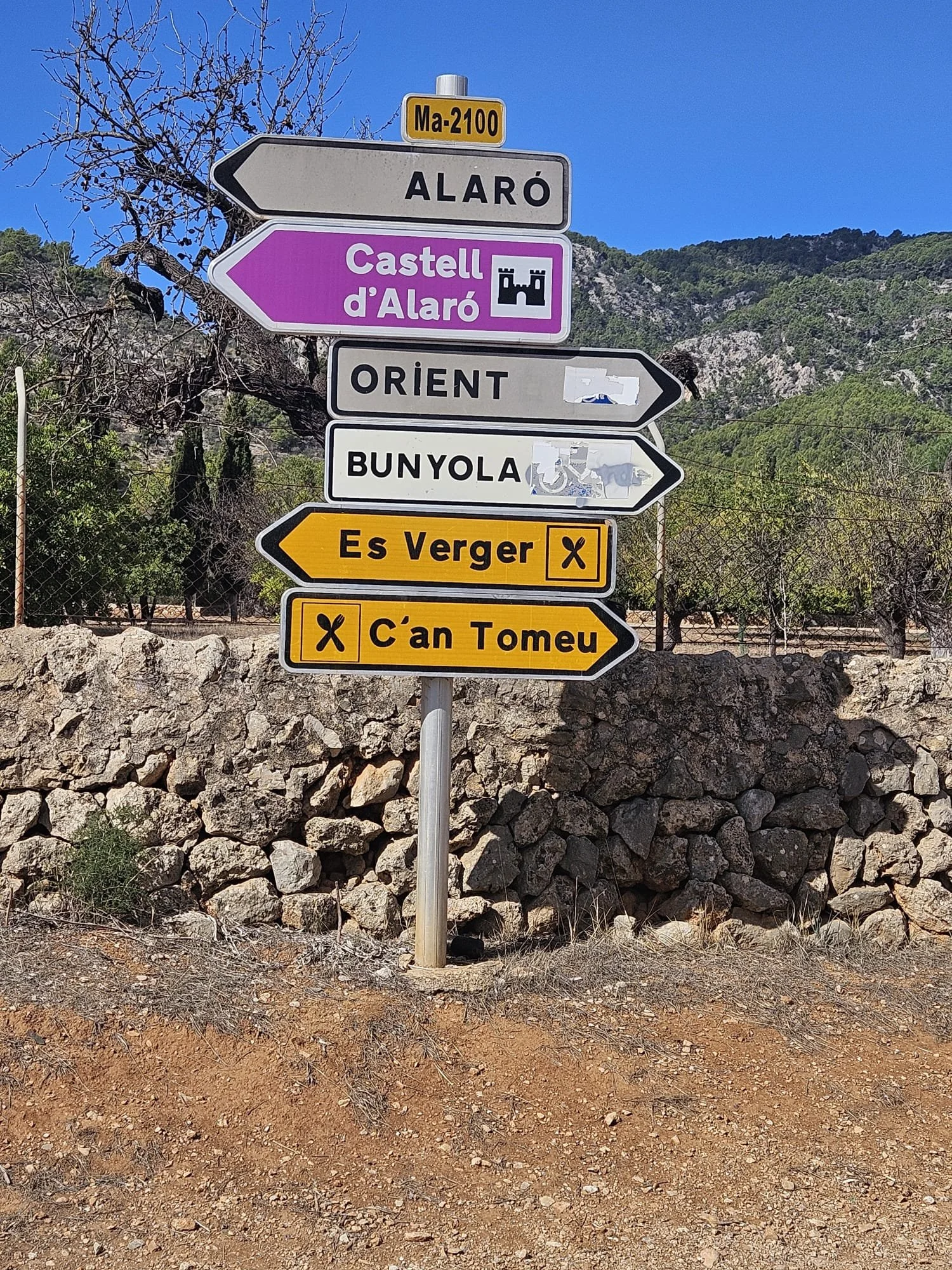 WhatsApp Image 2024-10-18 at 11.21.14_81d4f96b.jpg