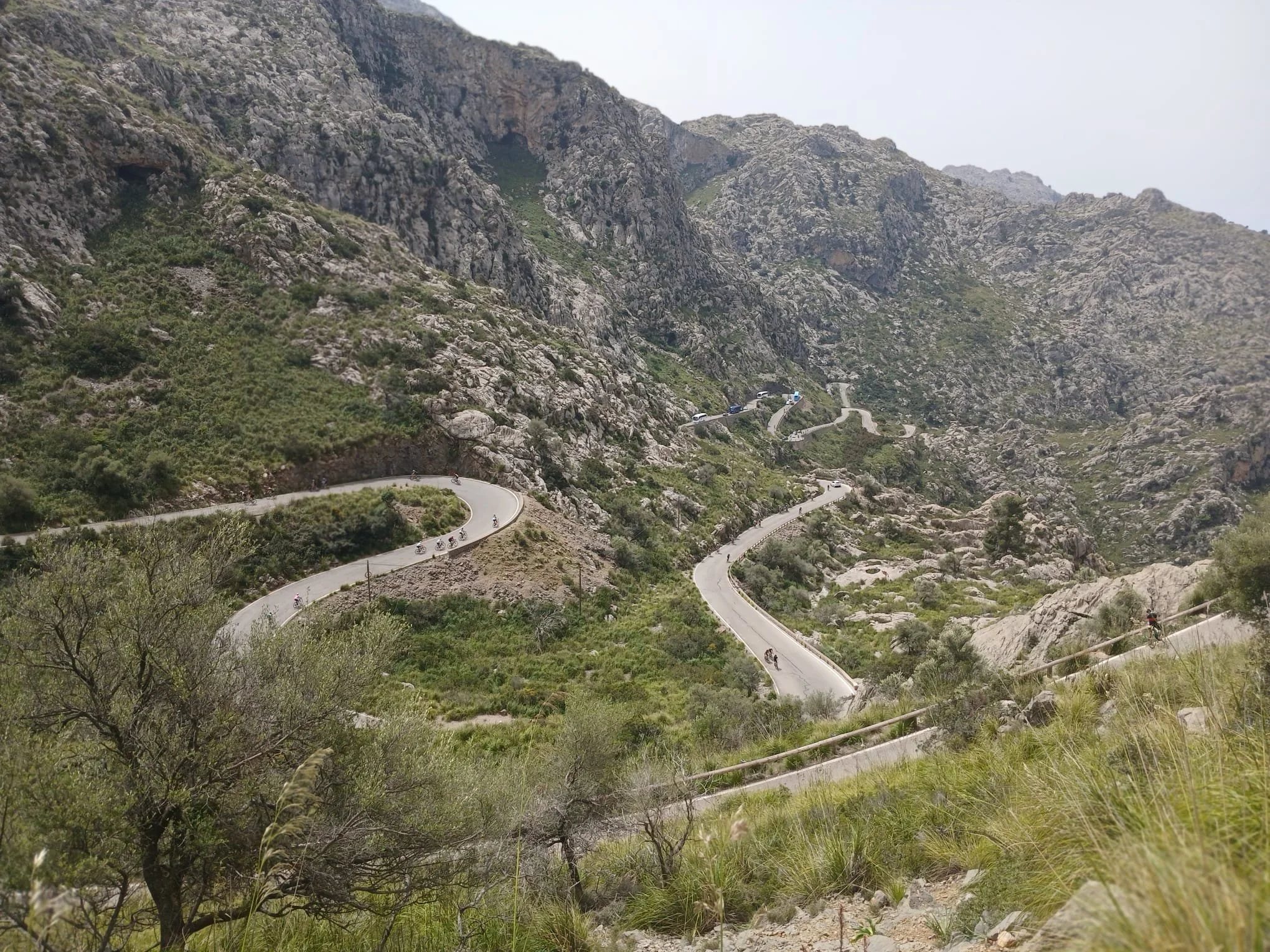 WhatsApp Image 2025-05-04 at 04.52.18_461b557b.jpg