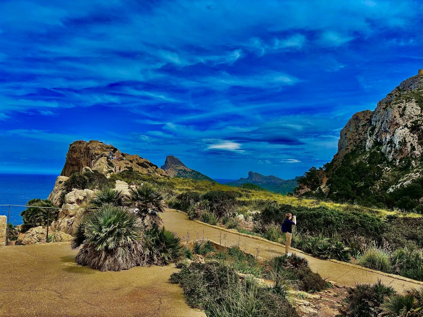 WhatsApp Image 2025-04-15 at 13.43.08_d63d33a6.jpg